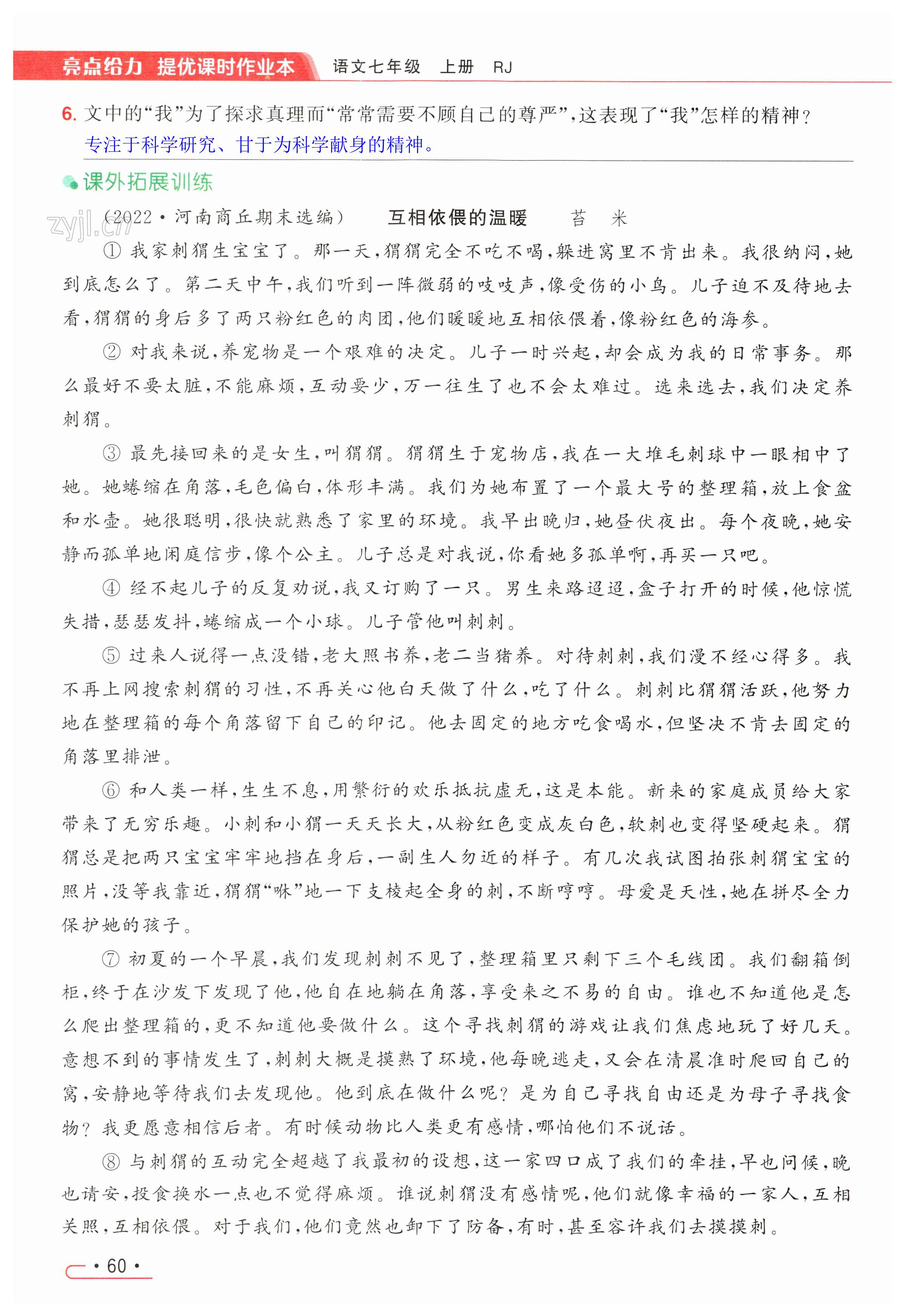 第60页
