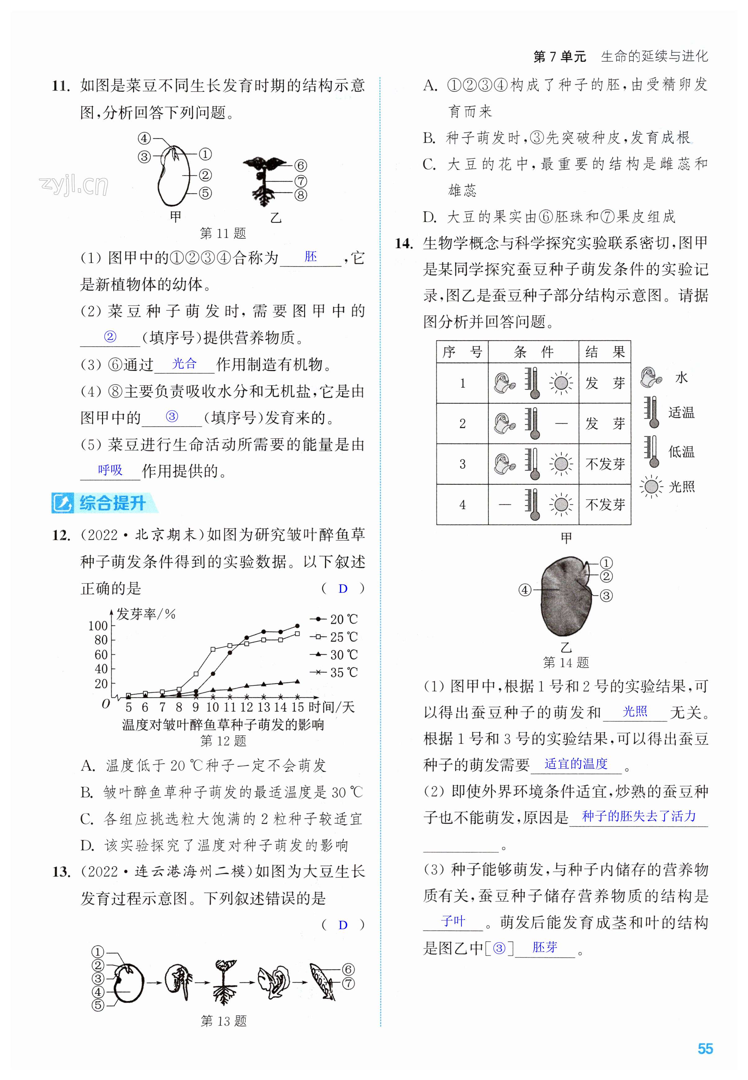 第55頁