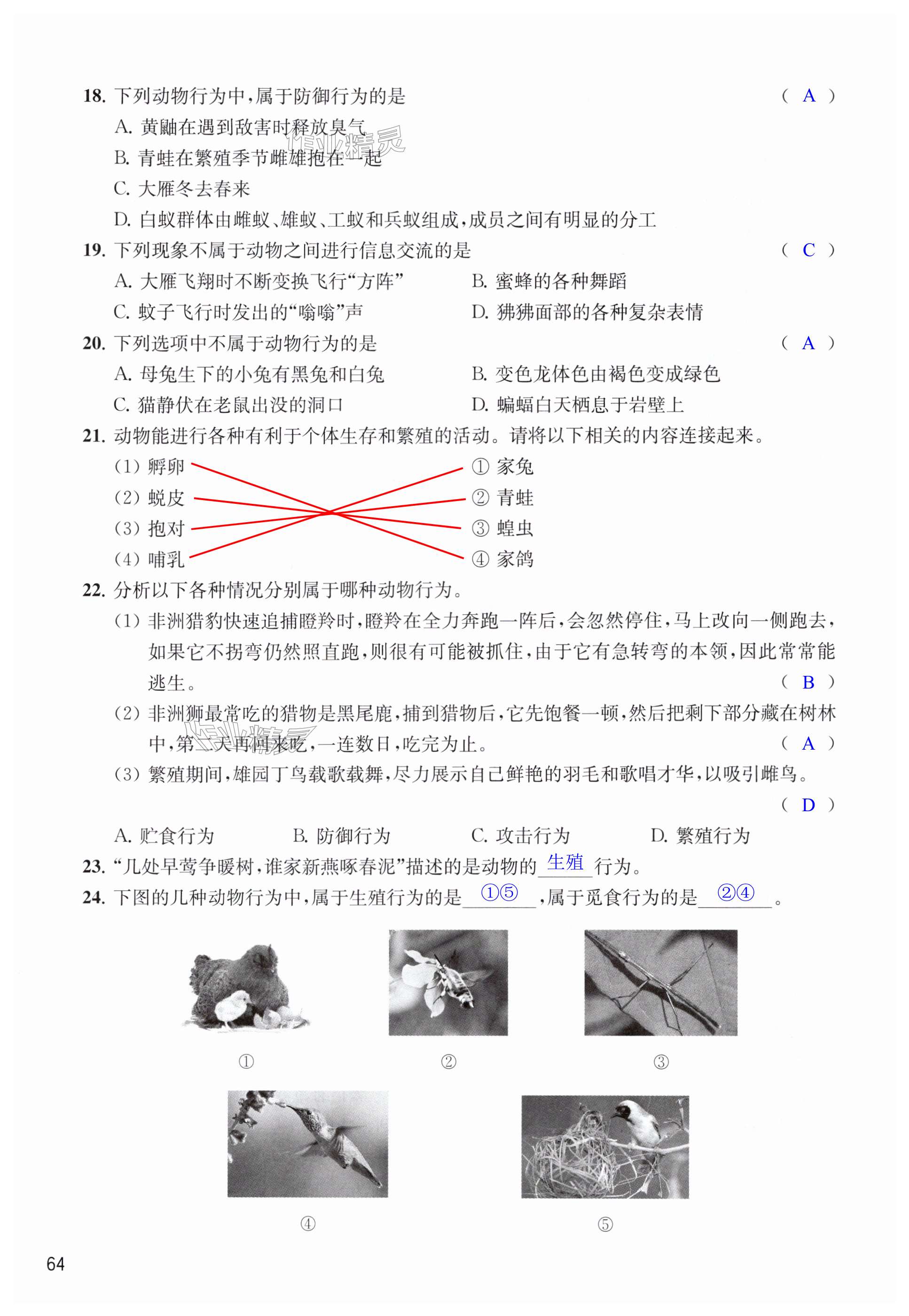 第64頁