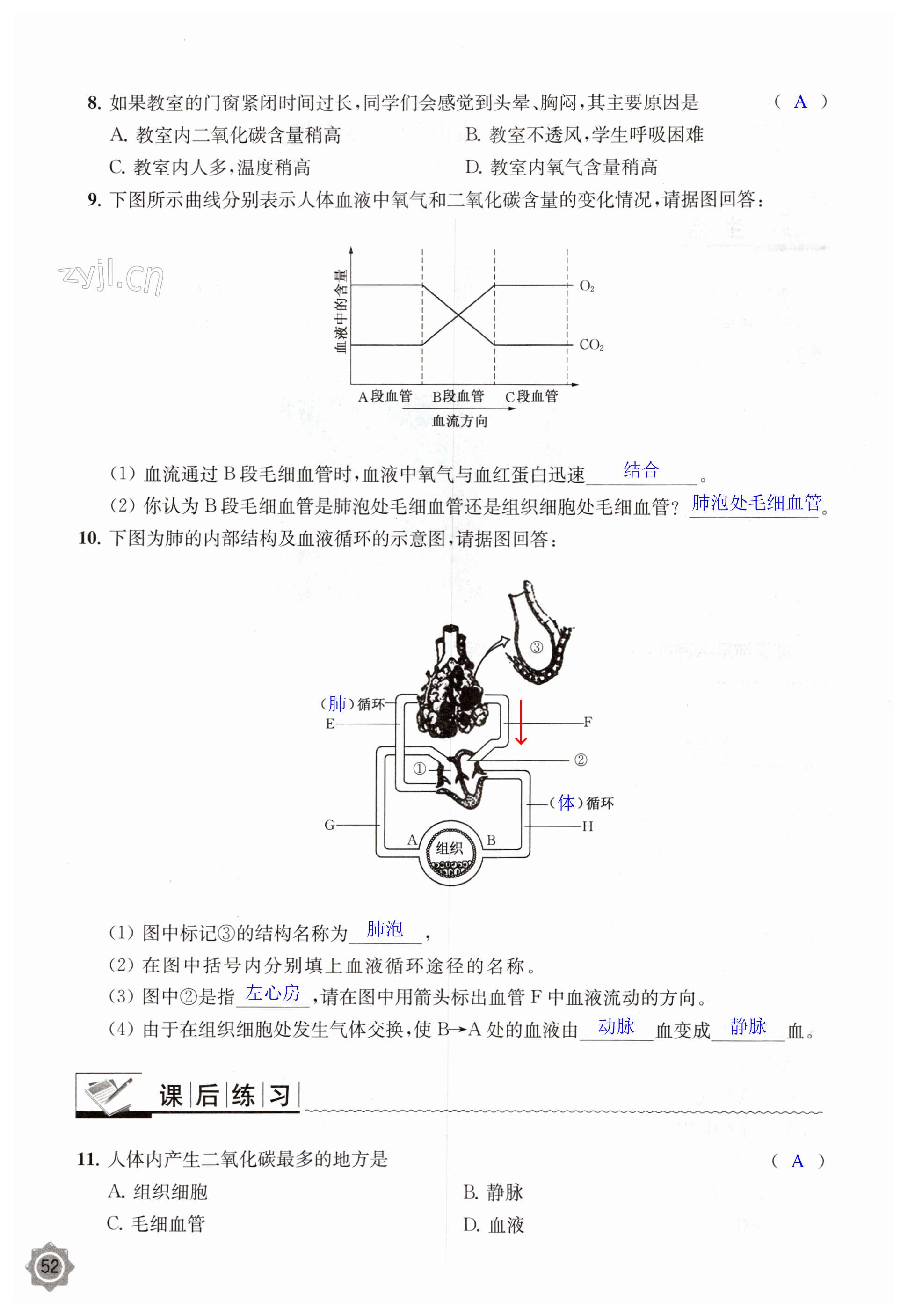 第52頁