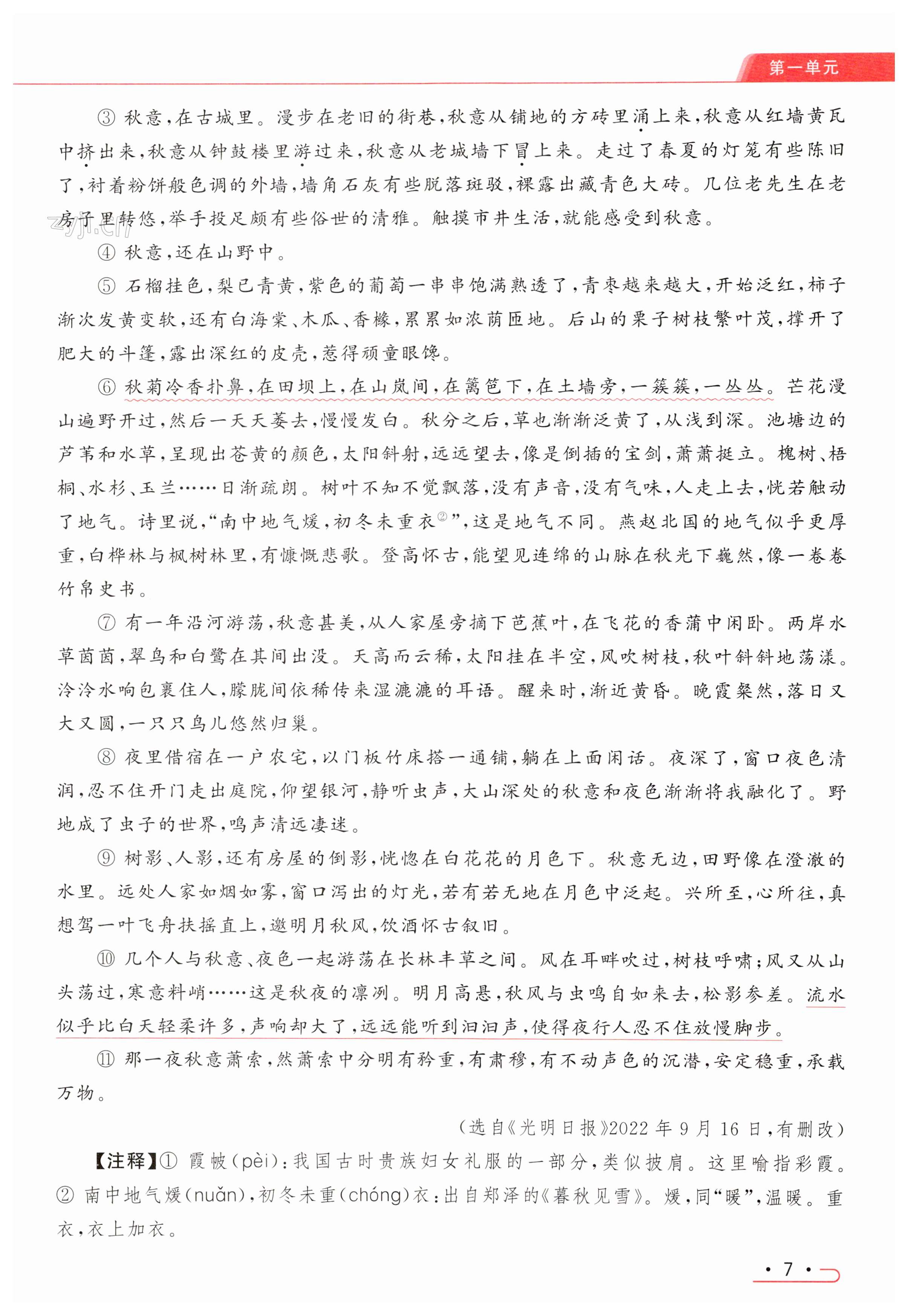 第7页