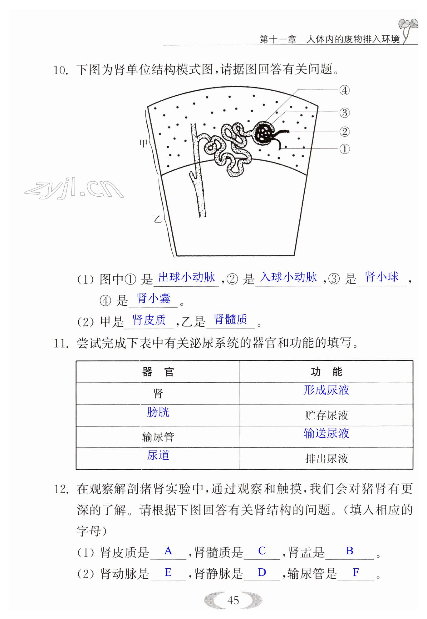 第45頁