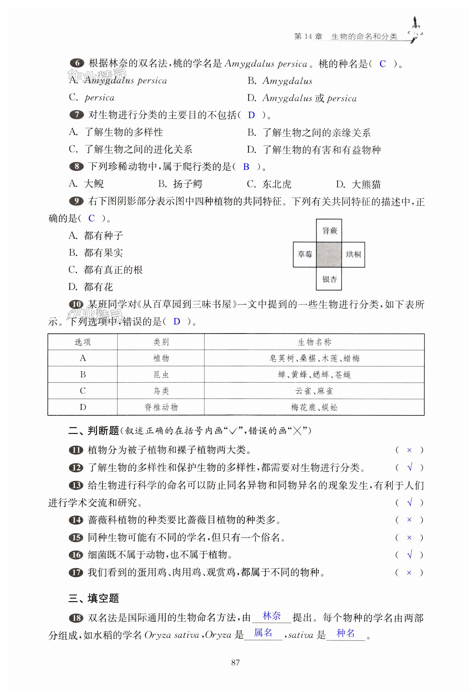 第87頁