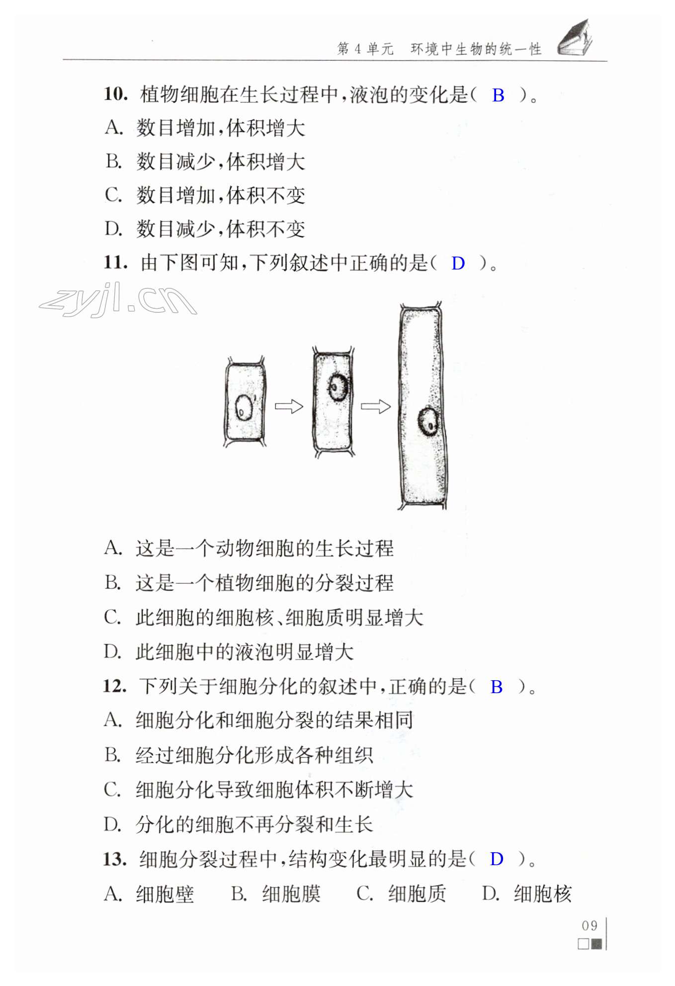 第9页