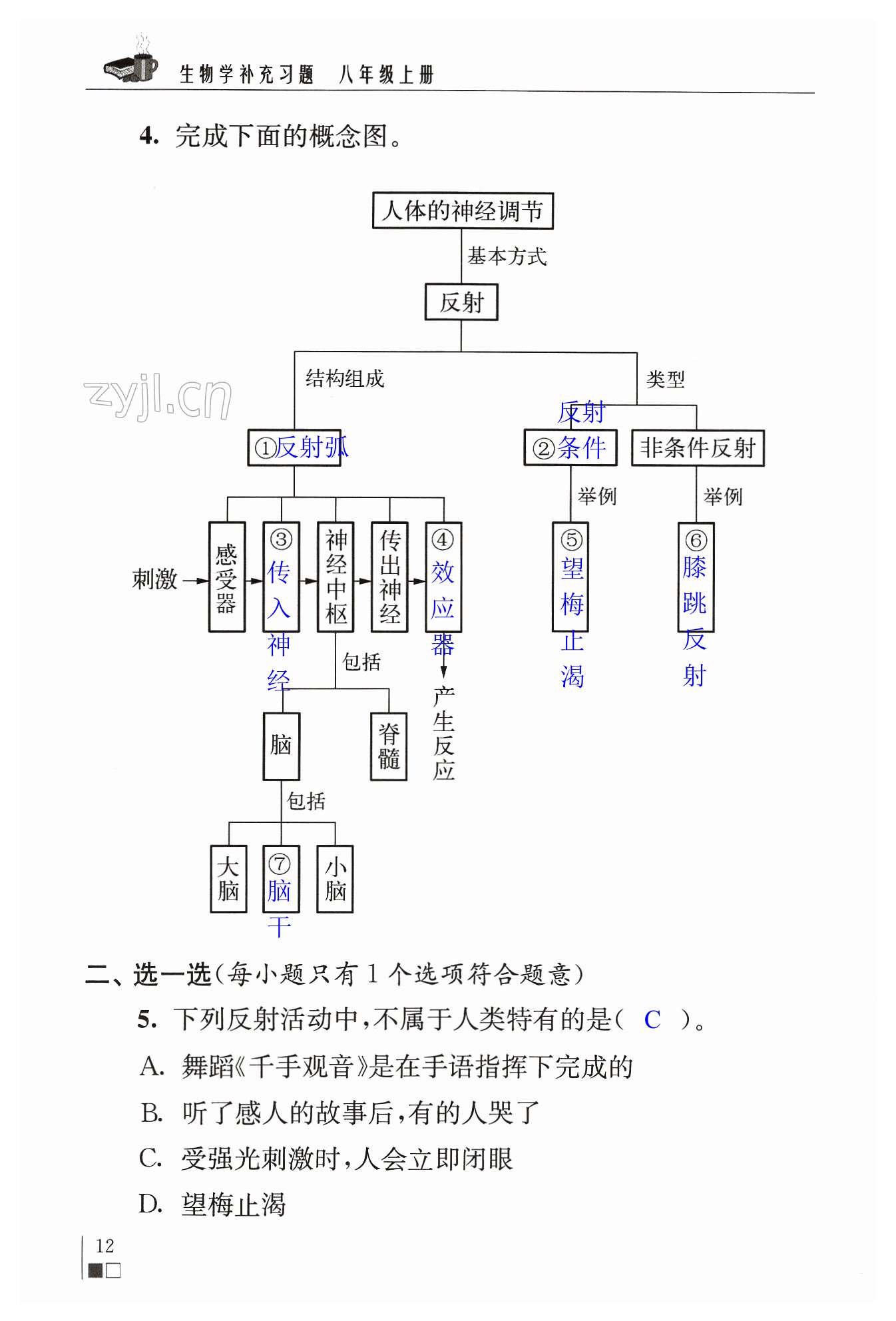 第12頁