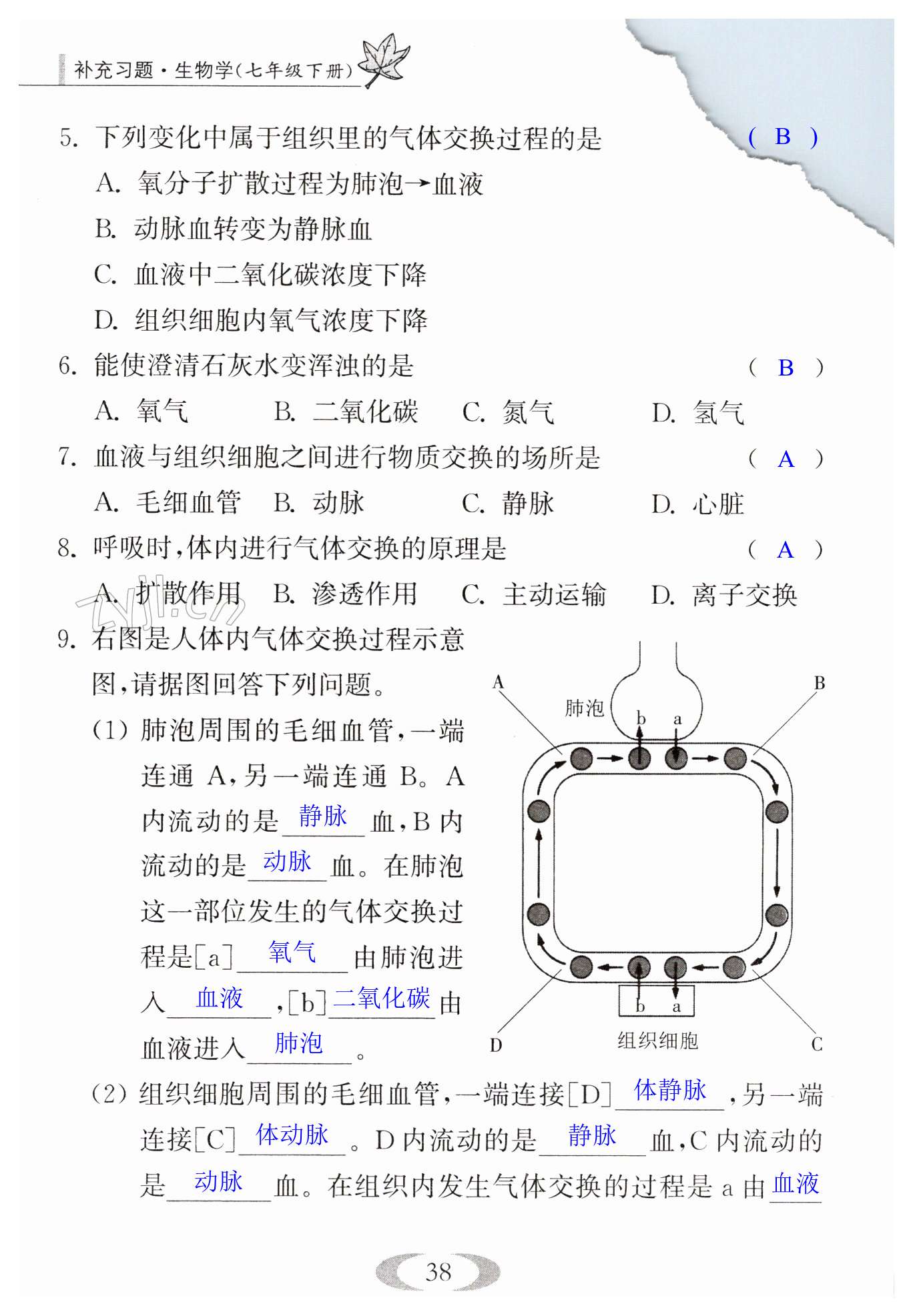 第38頁