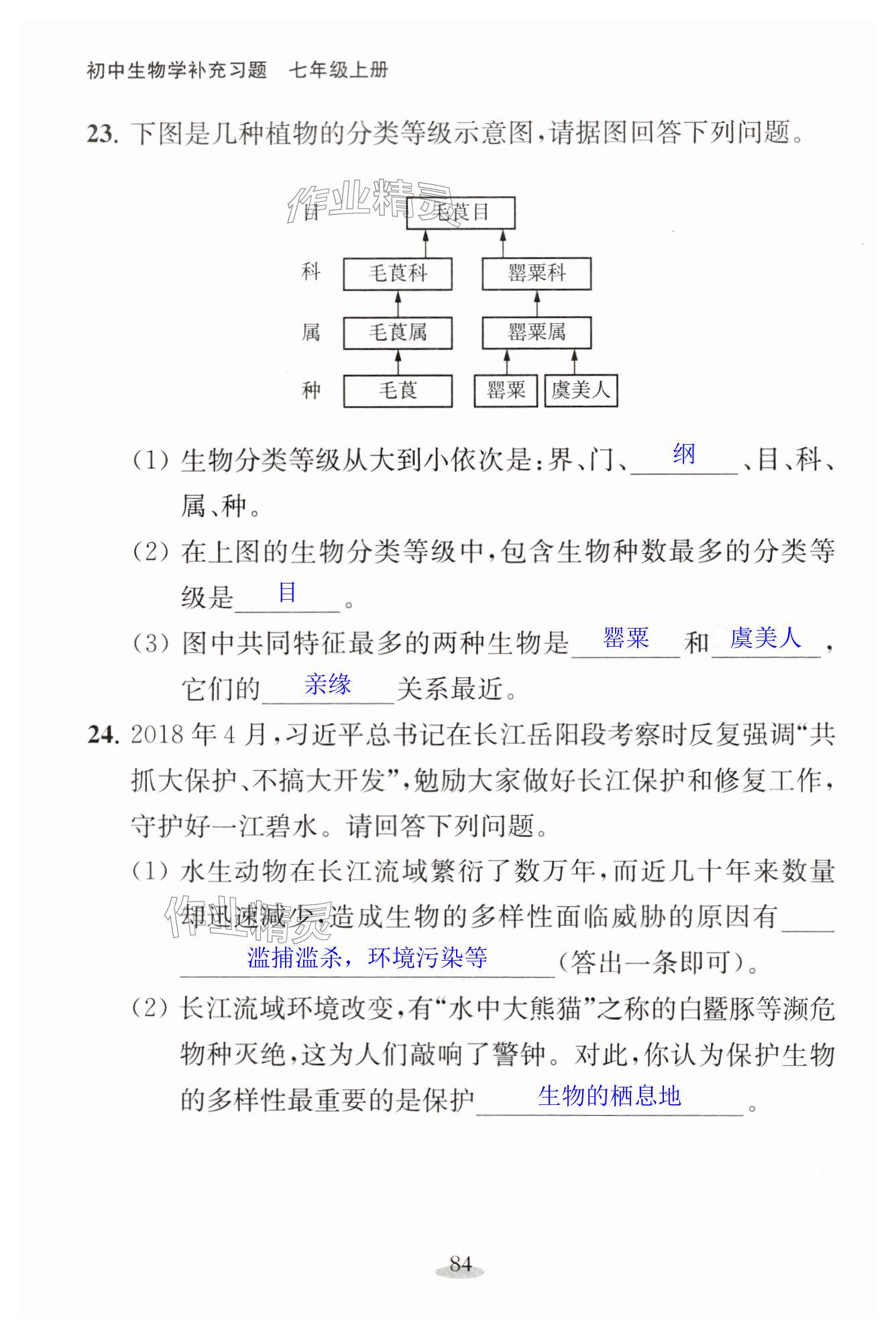 第84頁