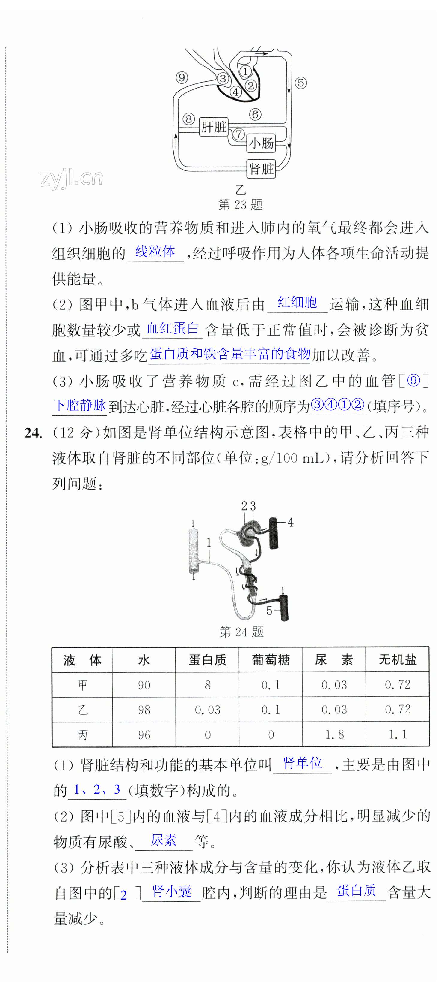 第6頁