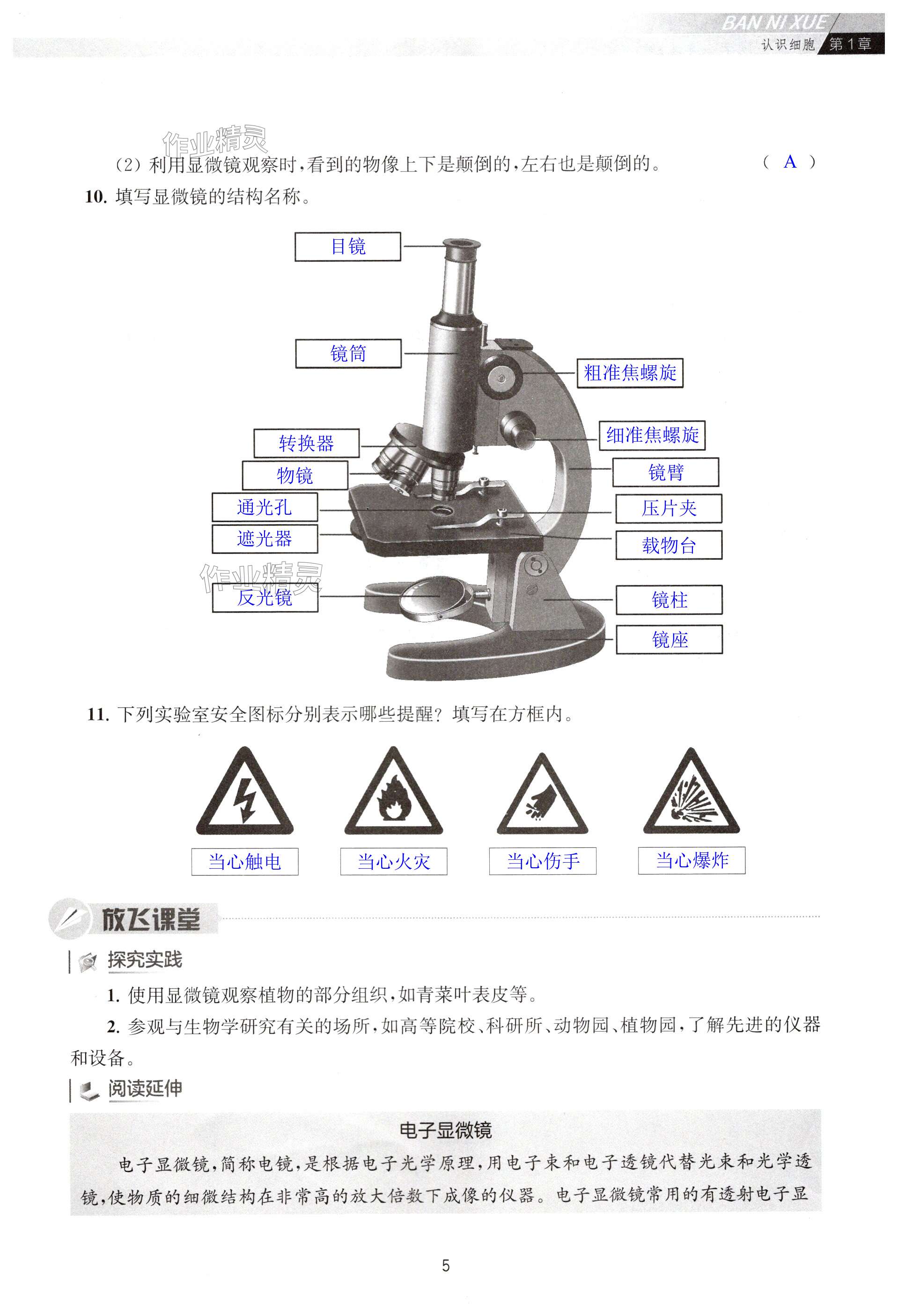 第5頁