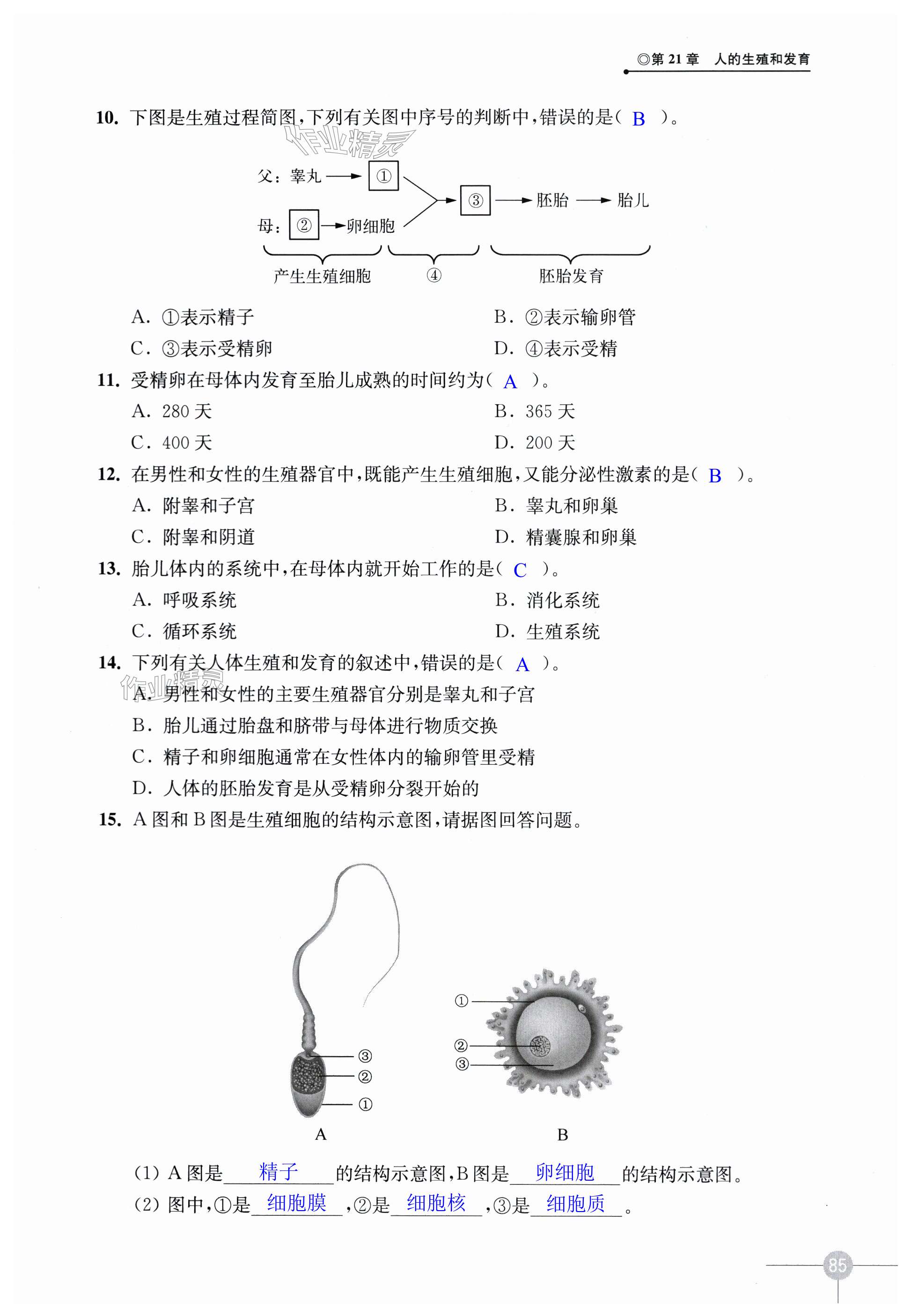 第85頁