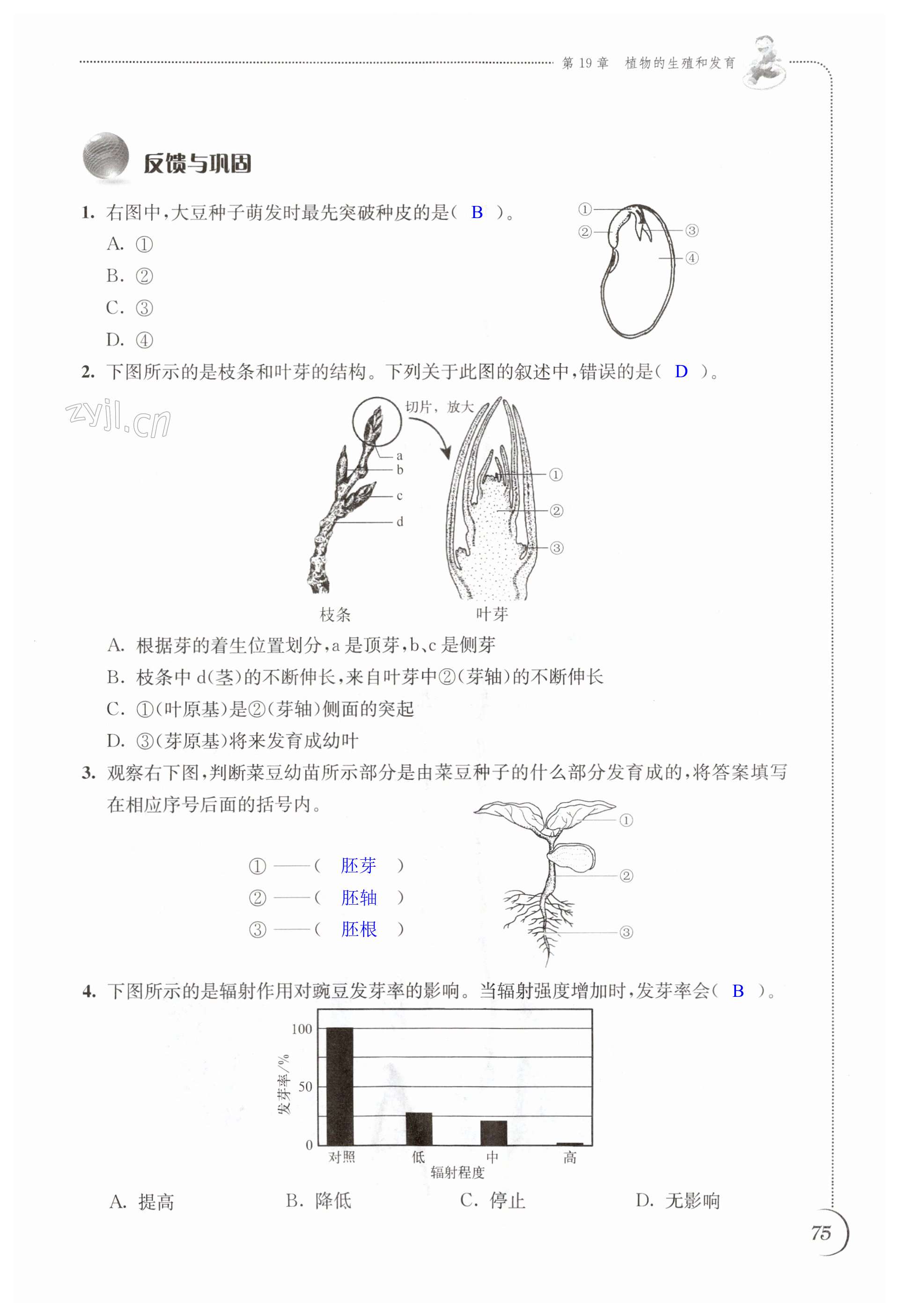 第75頁