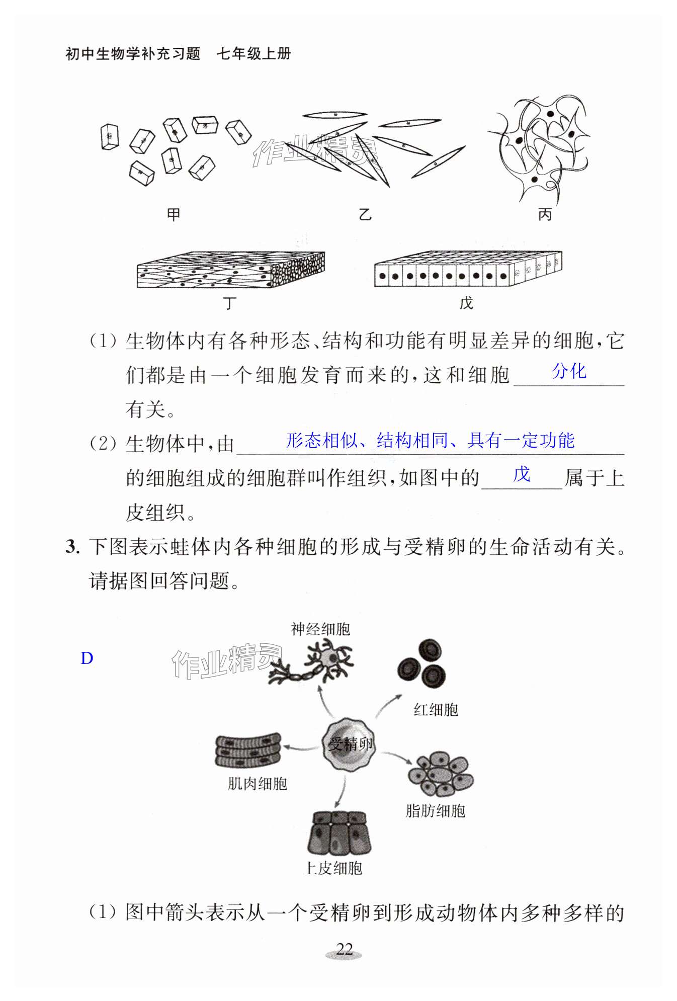 第22頁