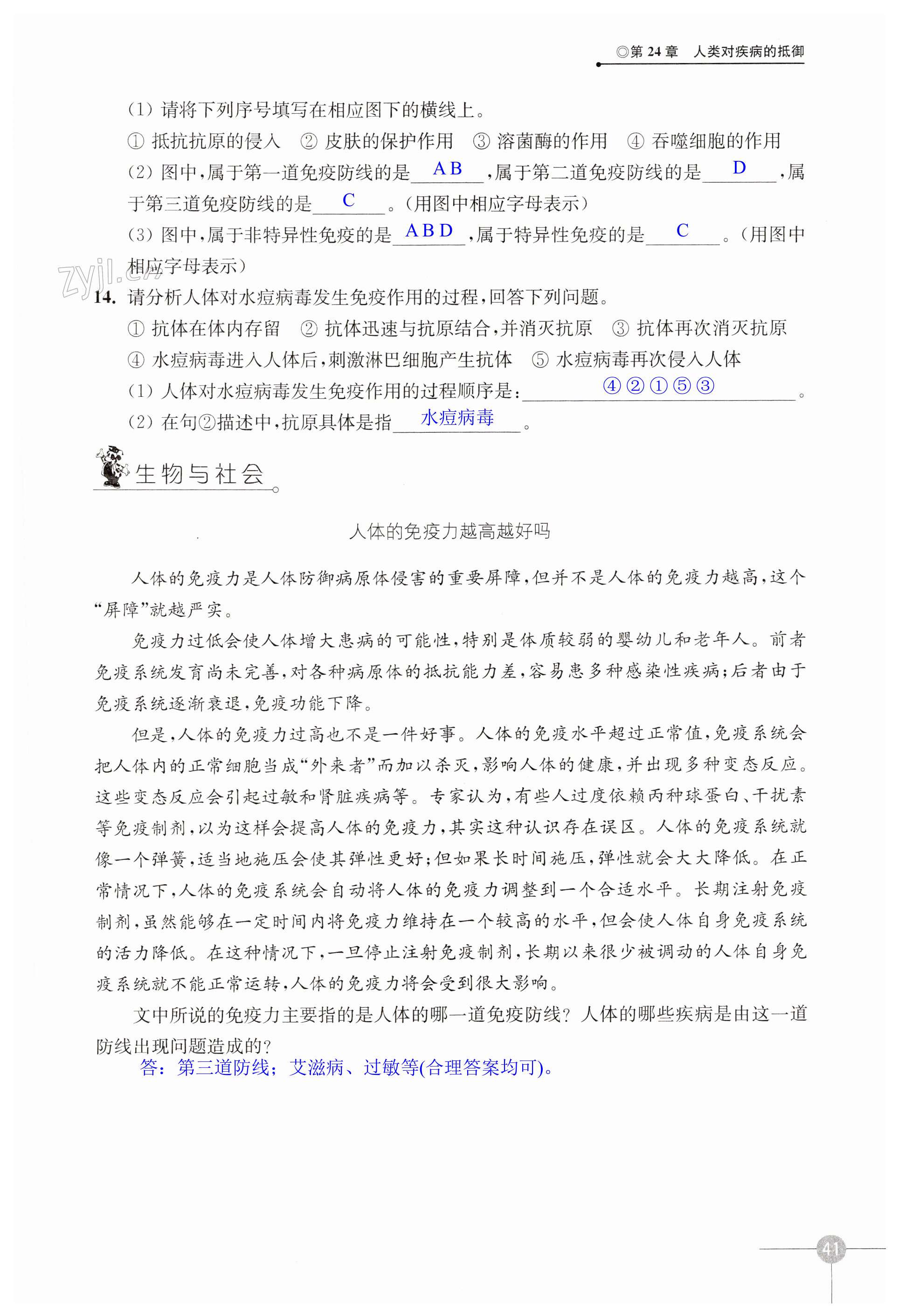 第41页
