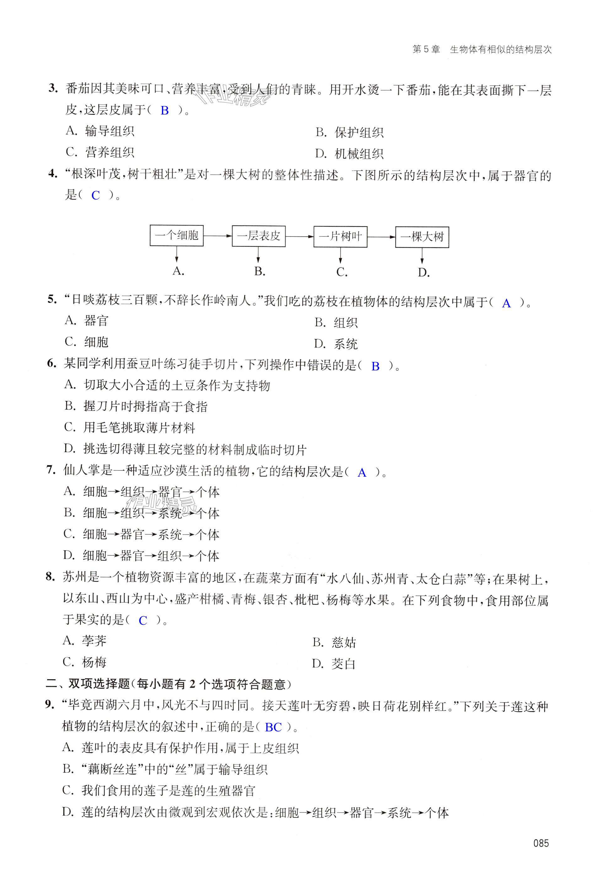 第85頁