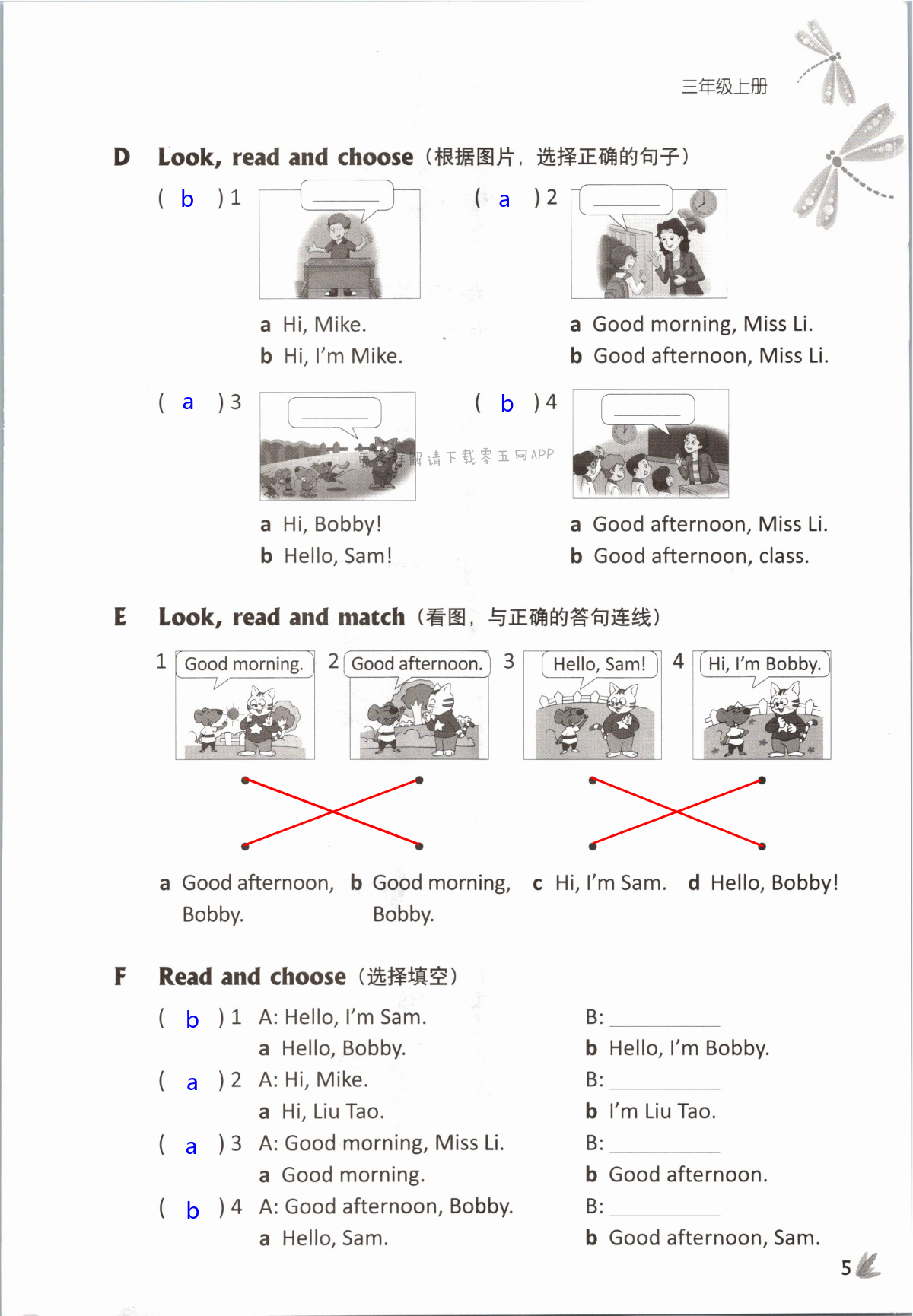 第5页