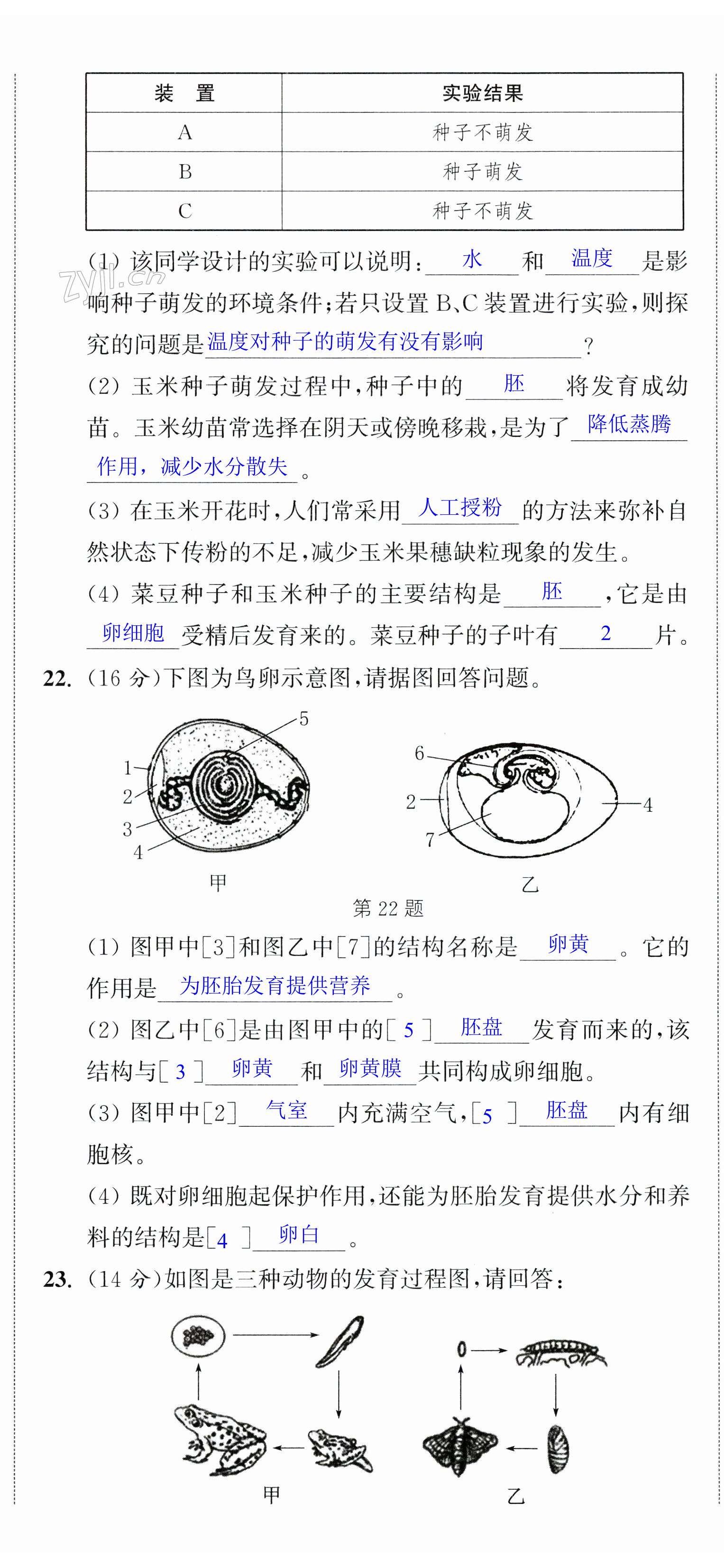 第29頁