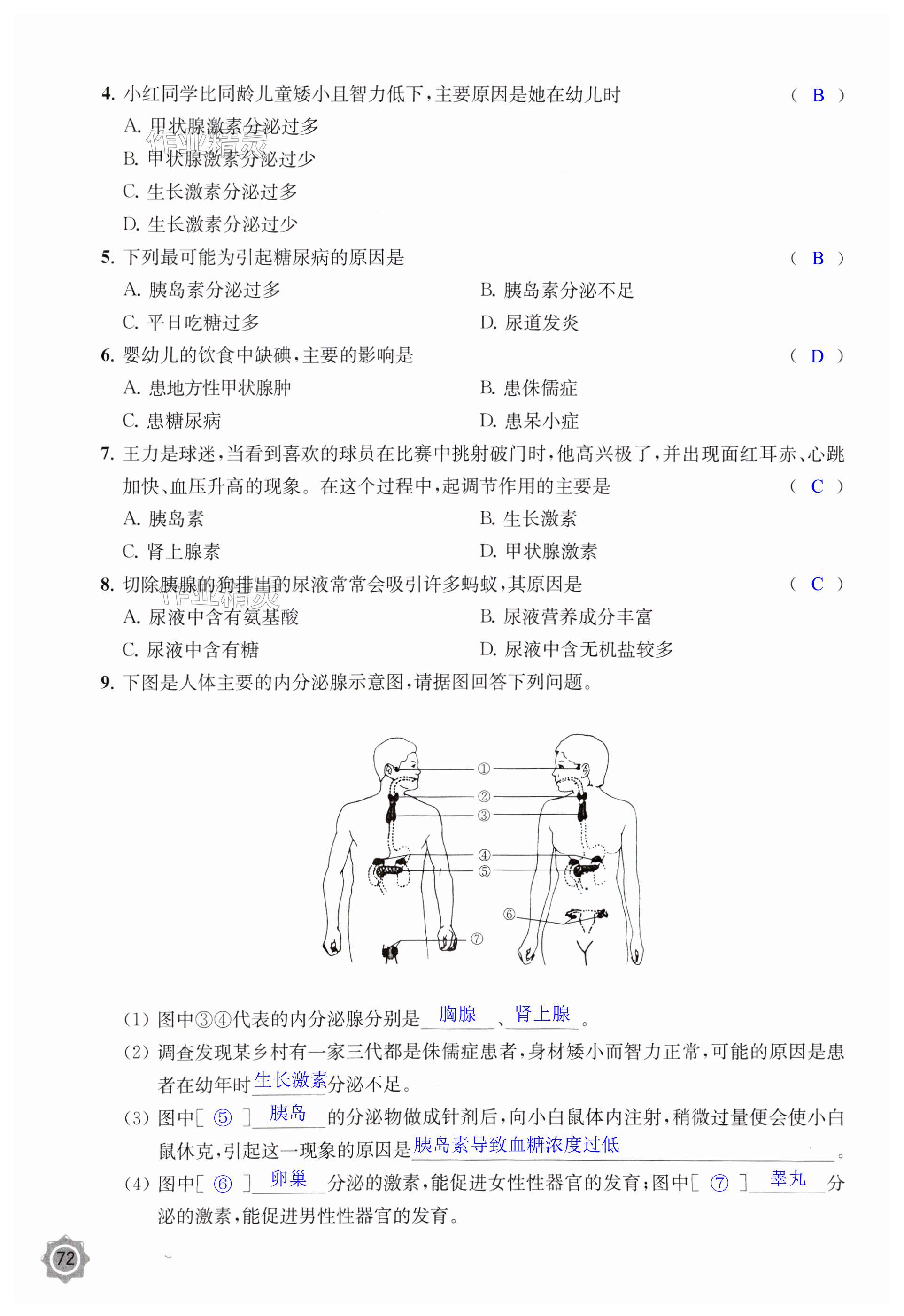 第72頁