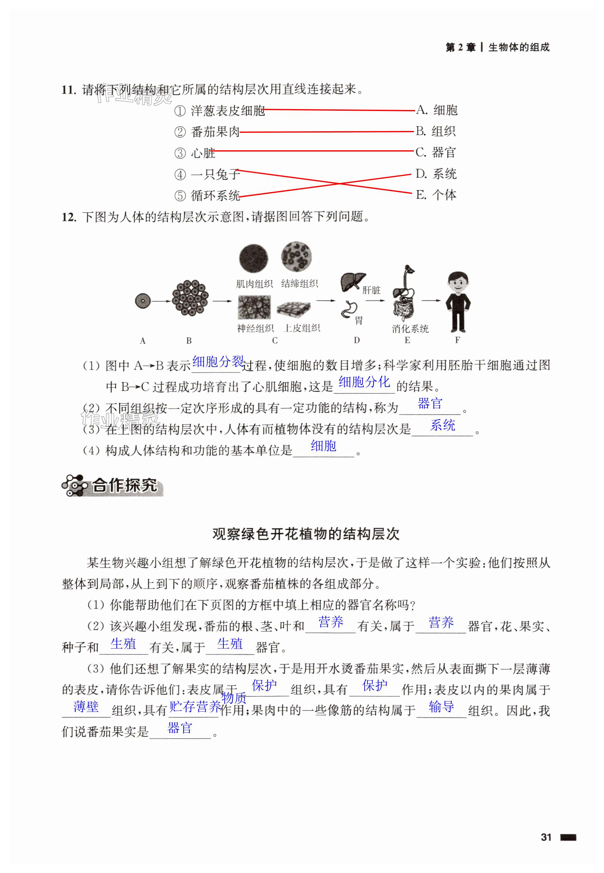 第31頁