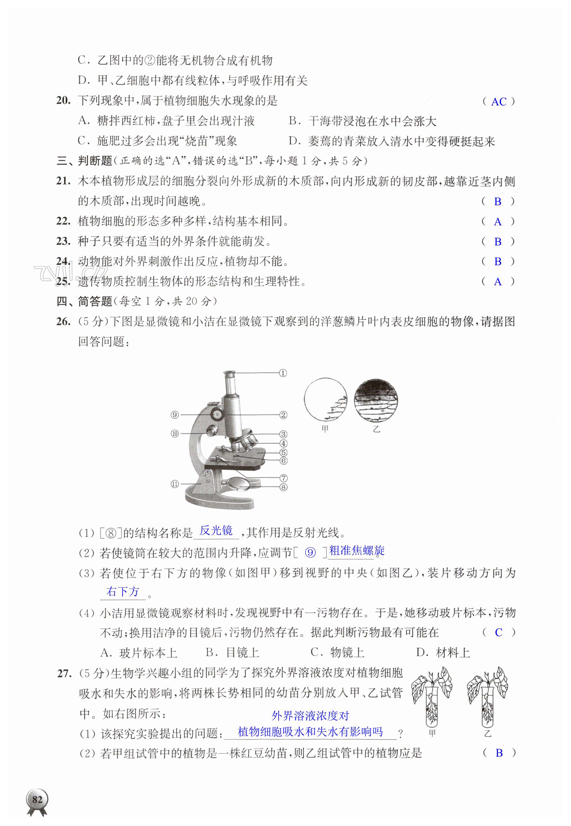 第82页