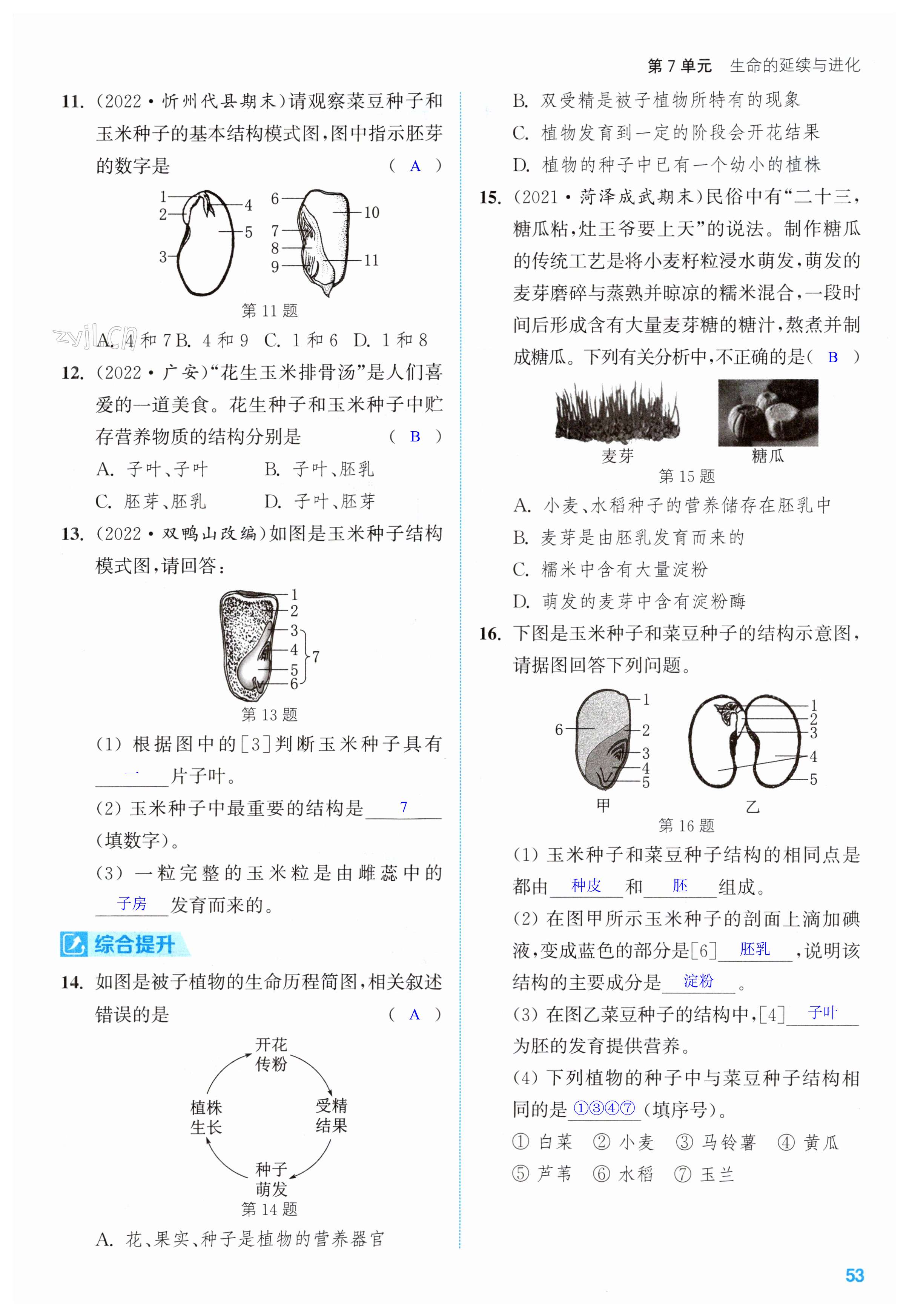 第53頁