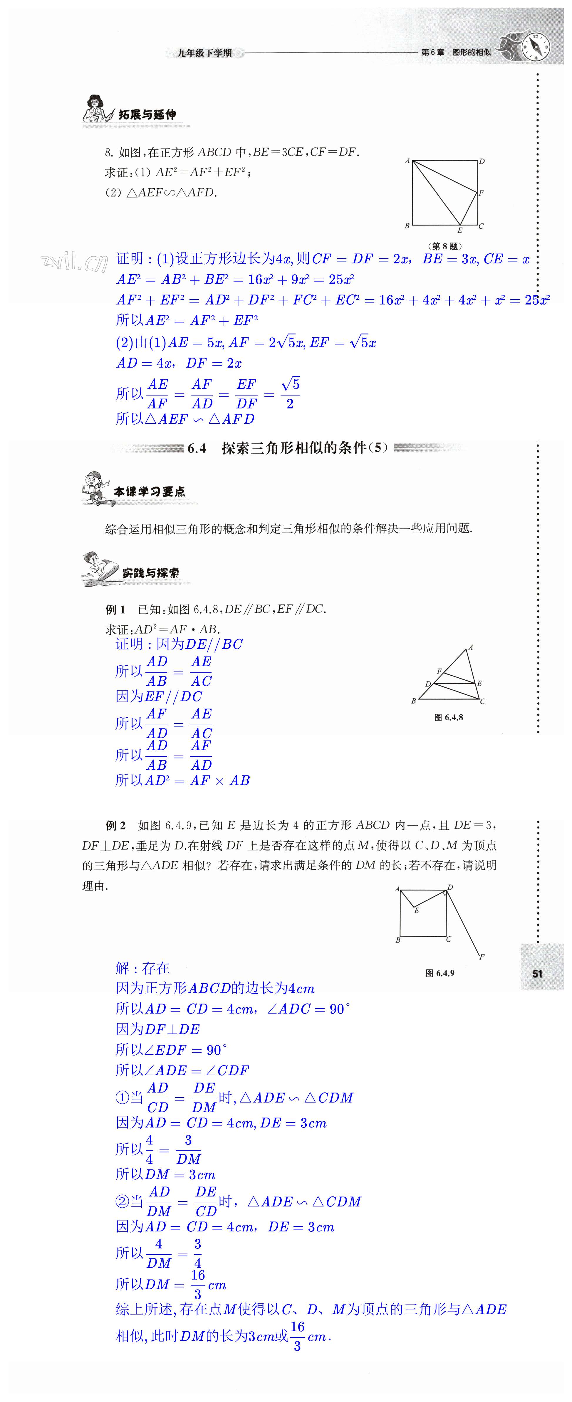 第51页