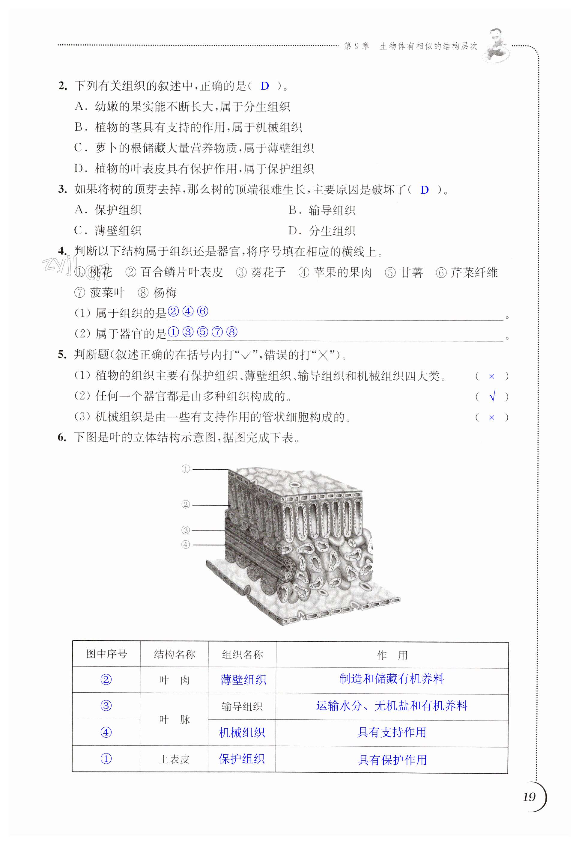 第19頁