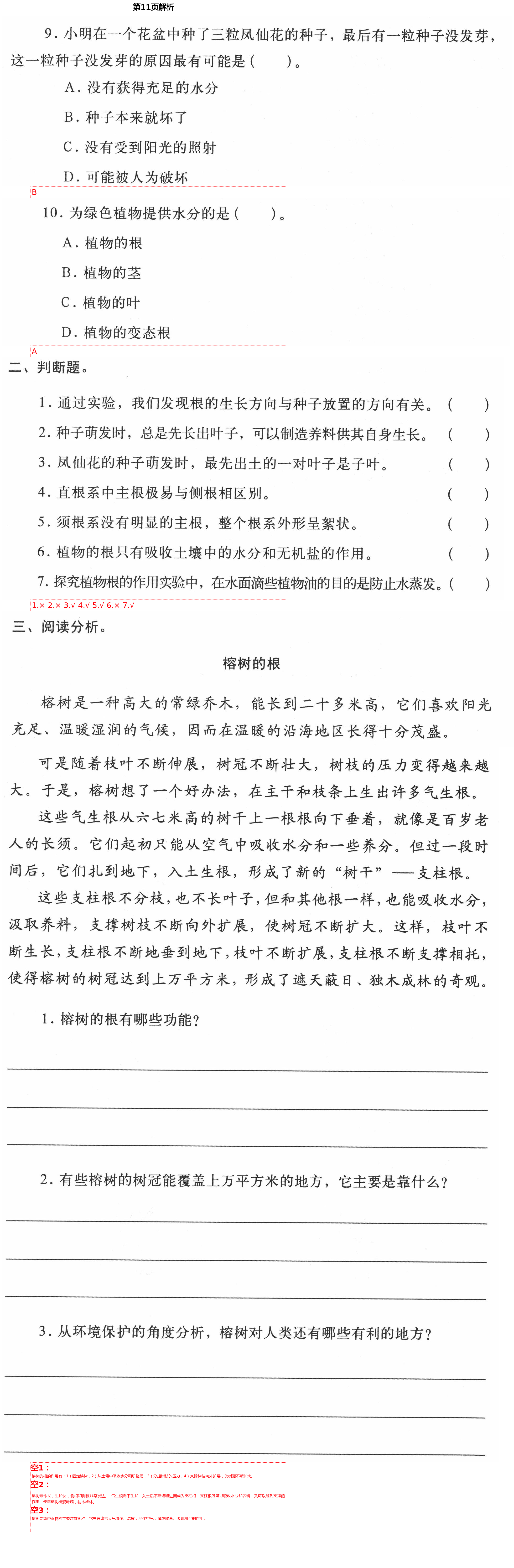 2021年新思维伴你学单元达标测试卷四年级科学下册教科版 第11页