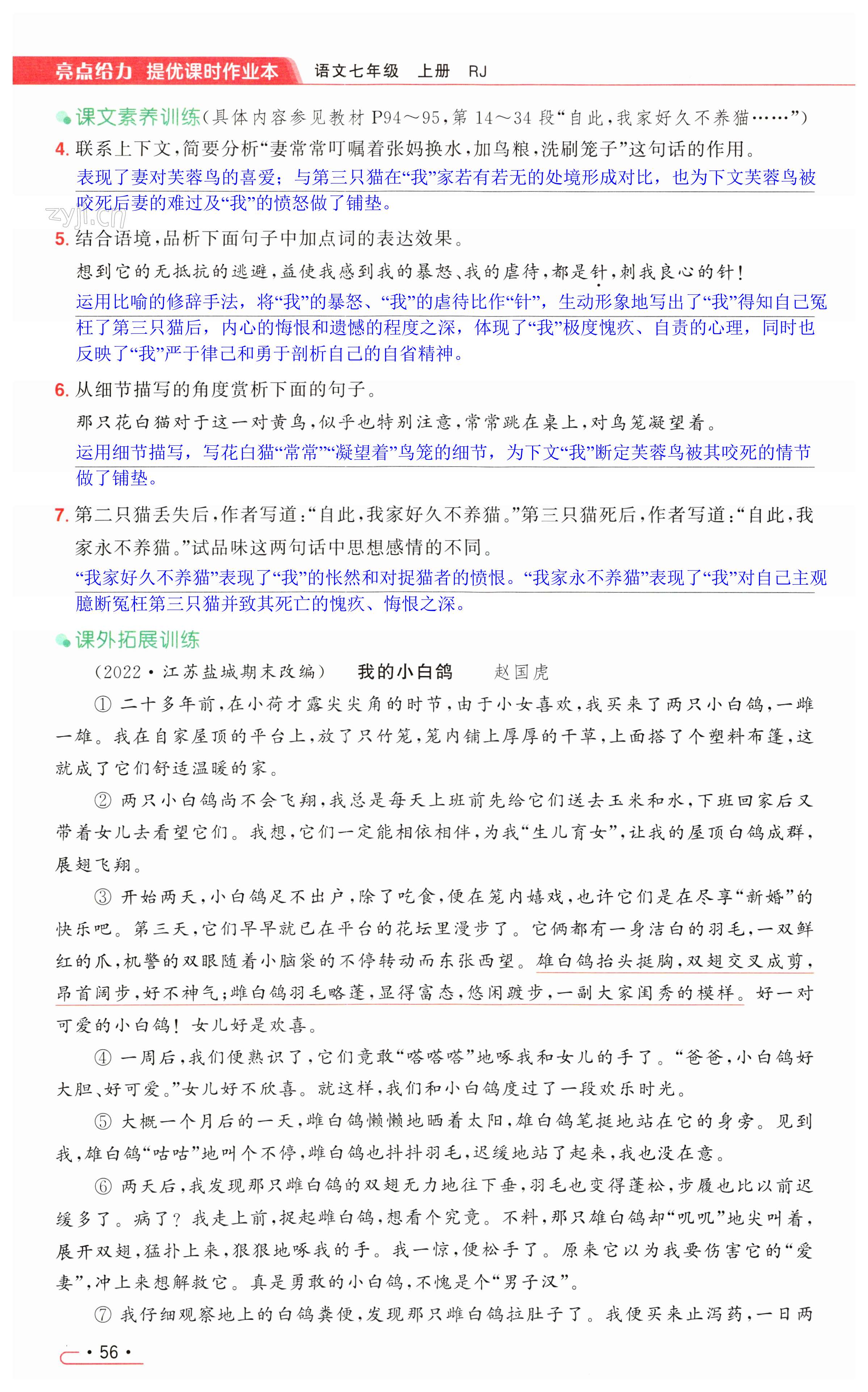 第56页