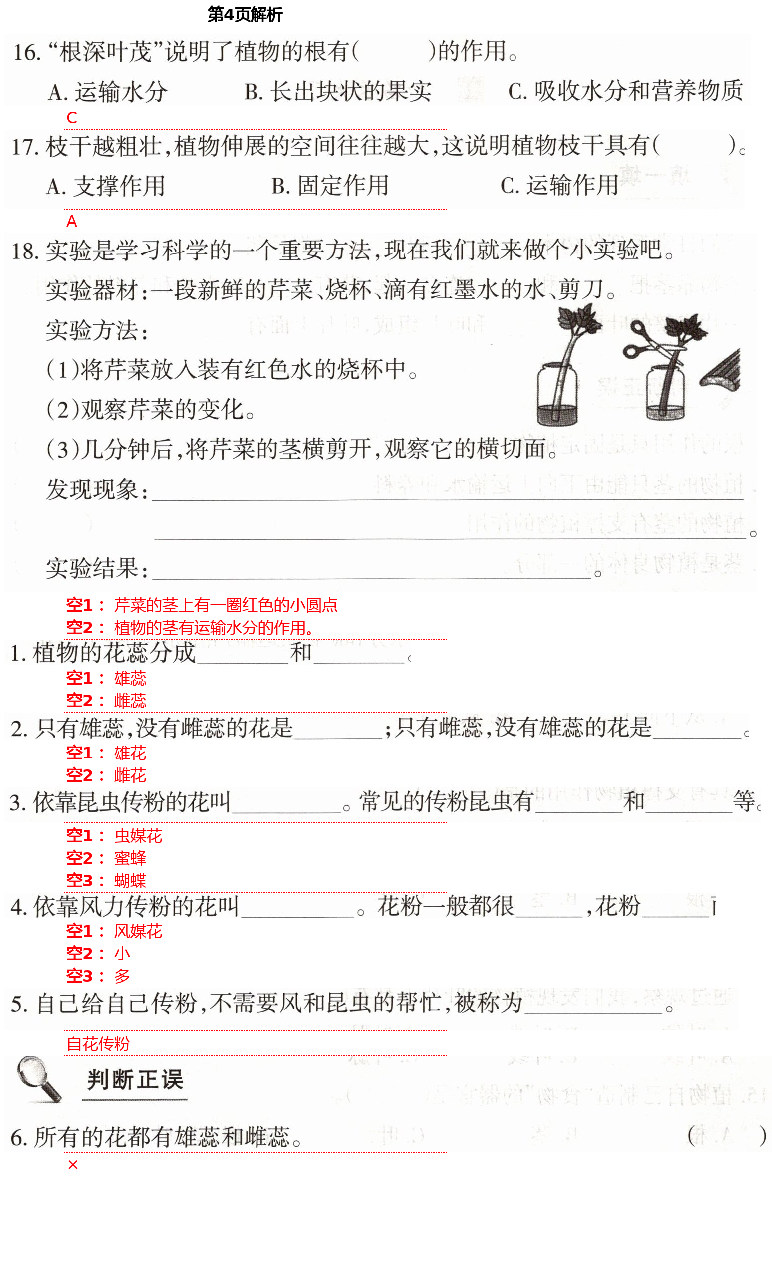 2021年學(xué)生課程精巧訓(xùn)練三年級(jí)科學(xué)下冊(cè)蘇教版 第4頁(yè)