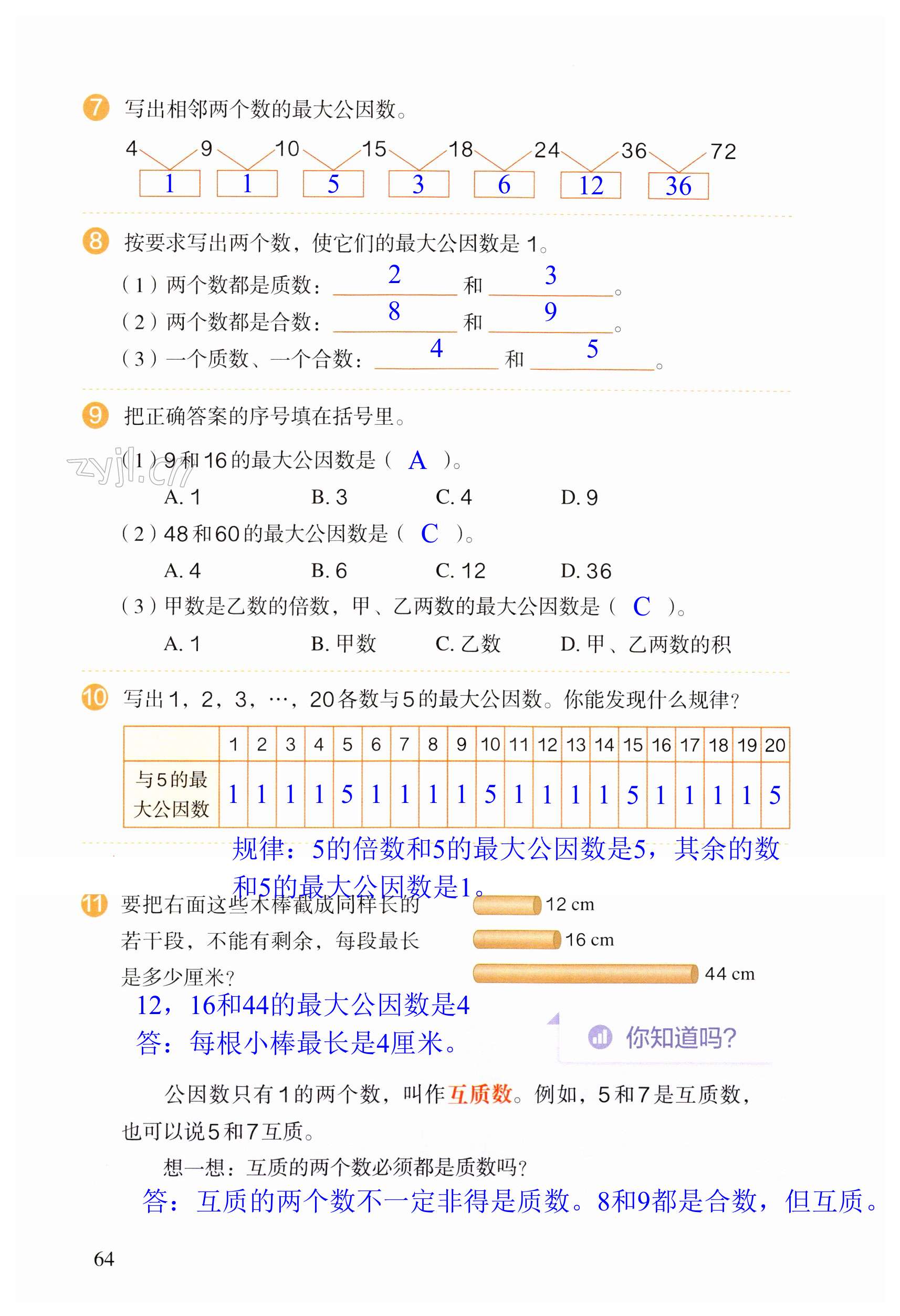 第64頁