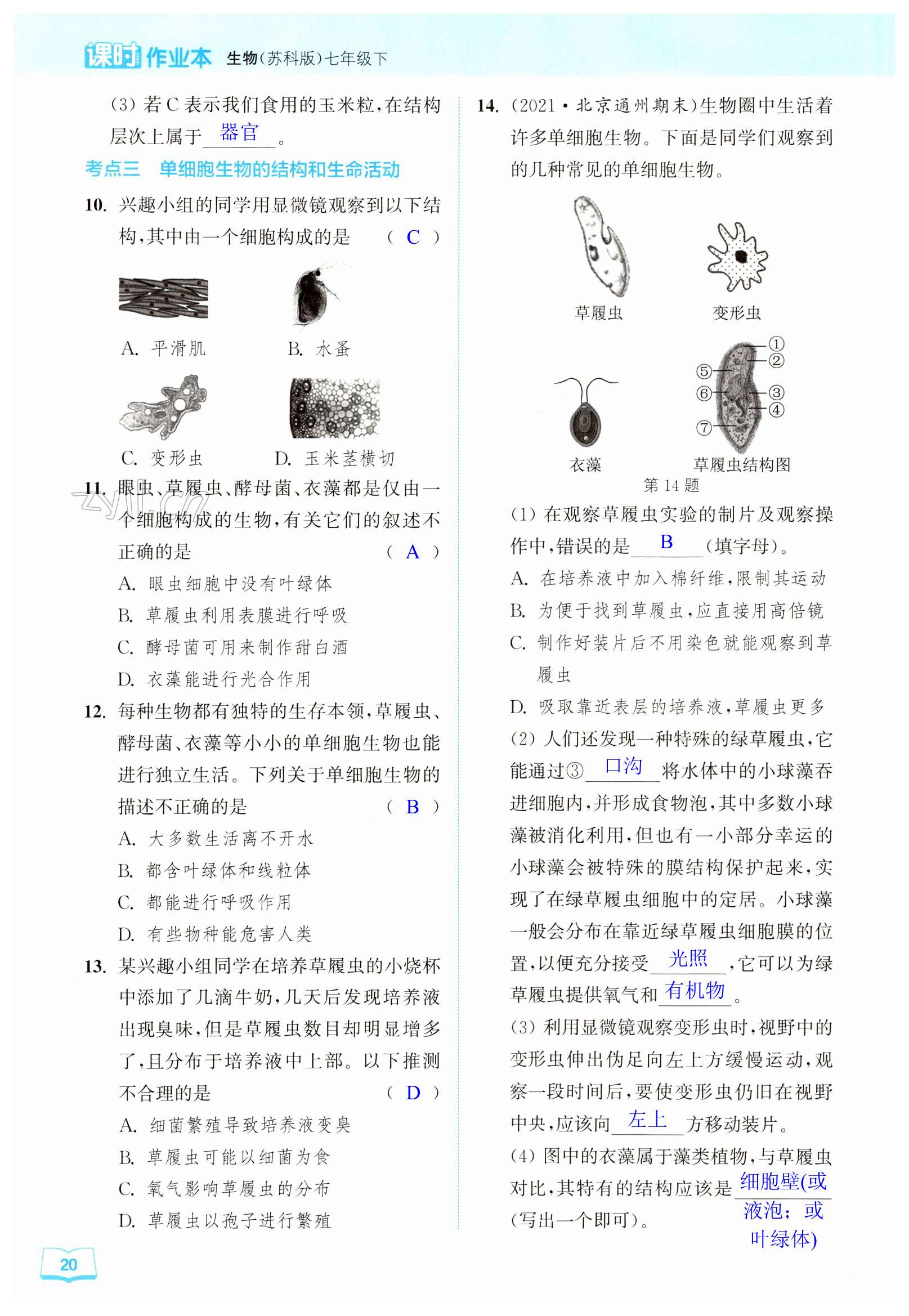 第20頁