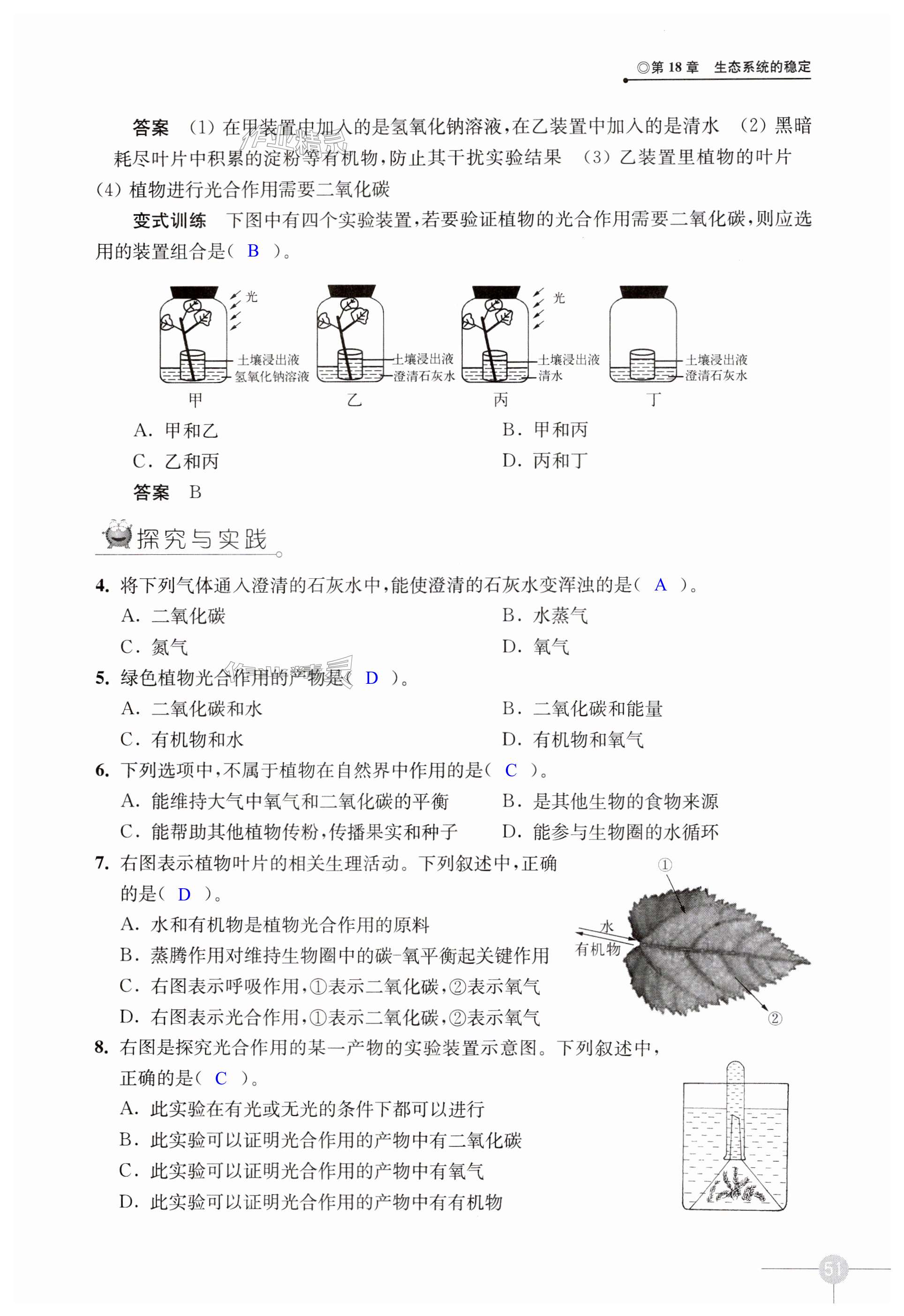 第51頁