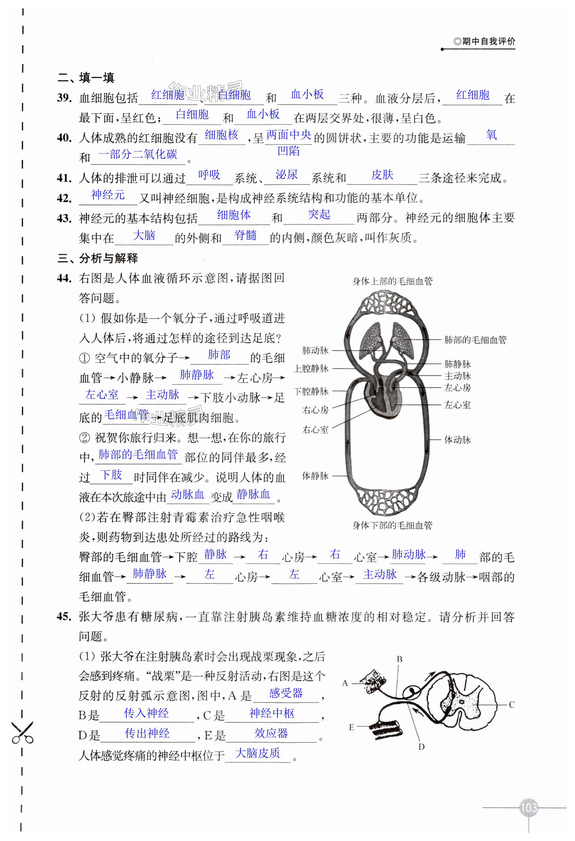 第103頁(yè)