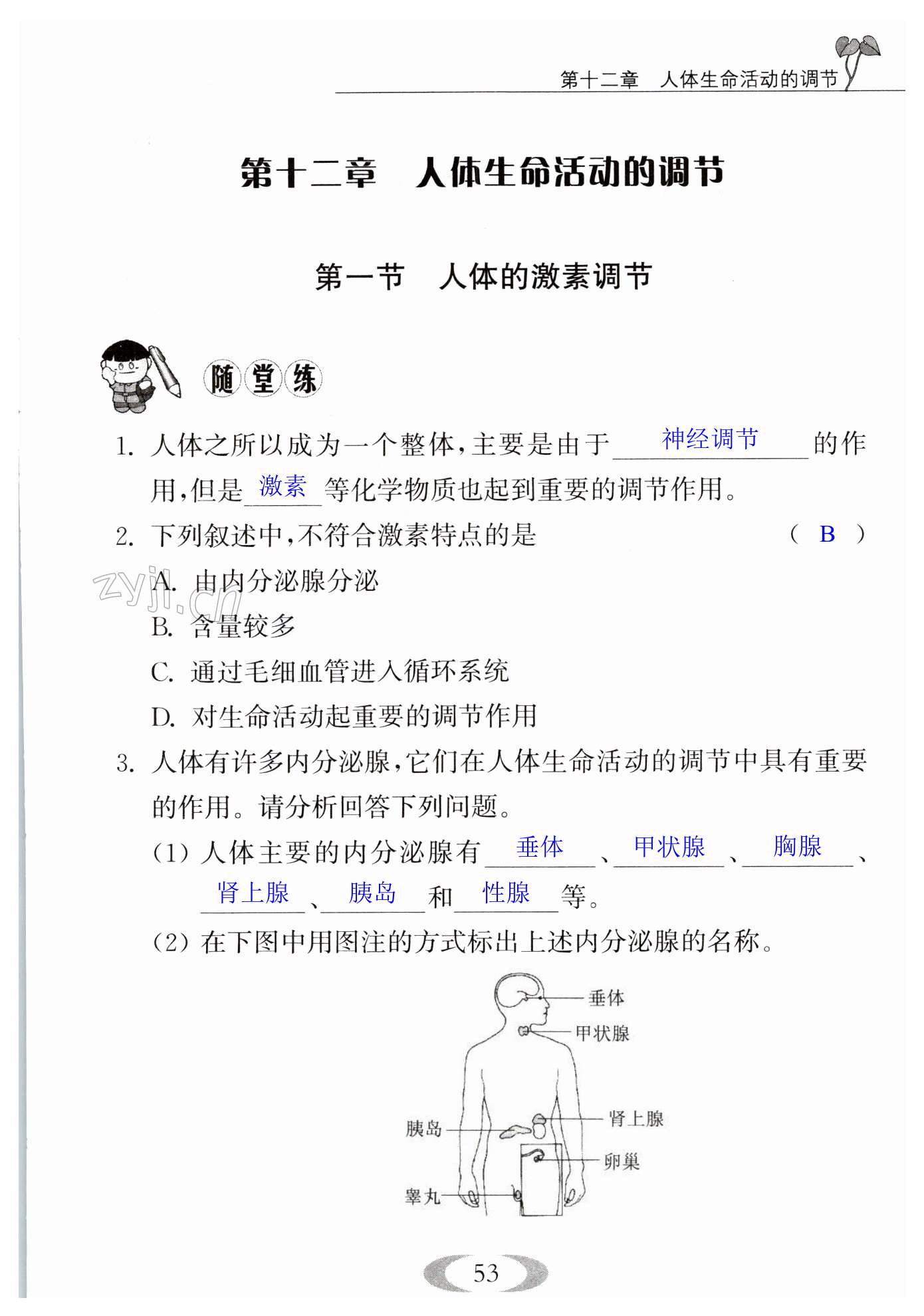 第53页