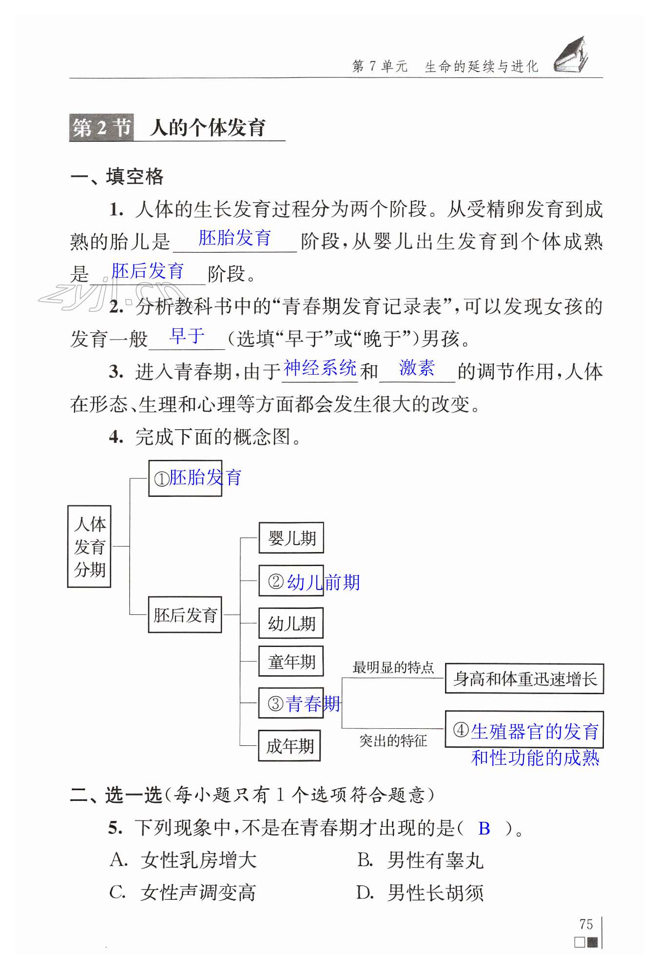 第75頁