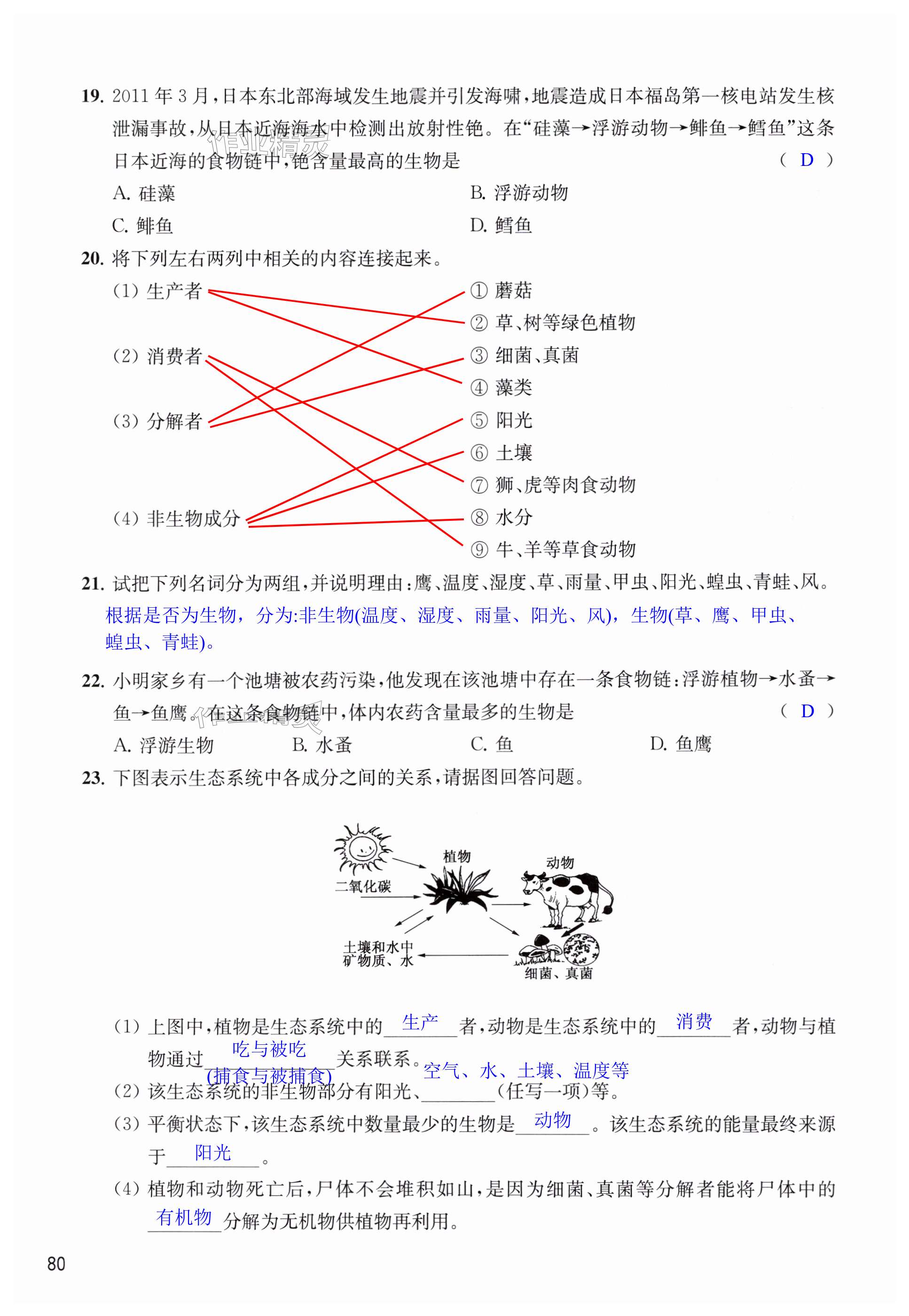 第80頁