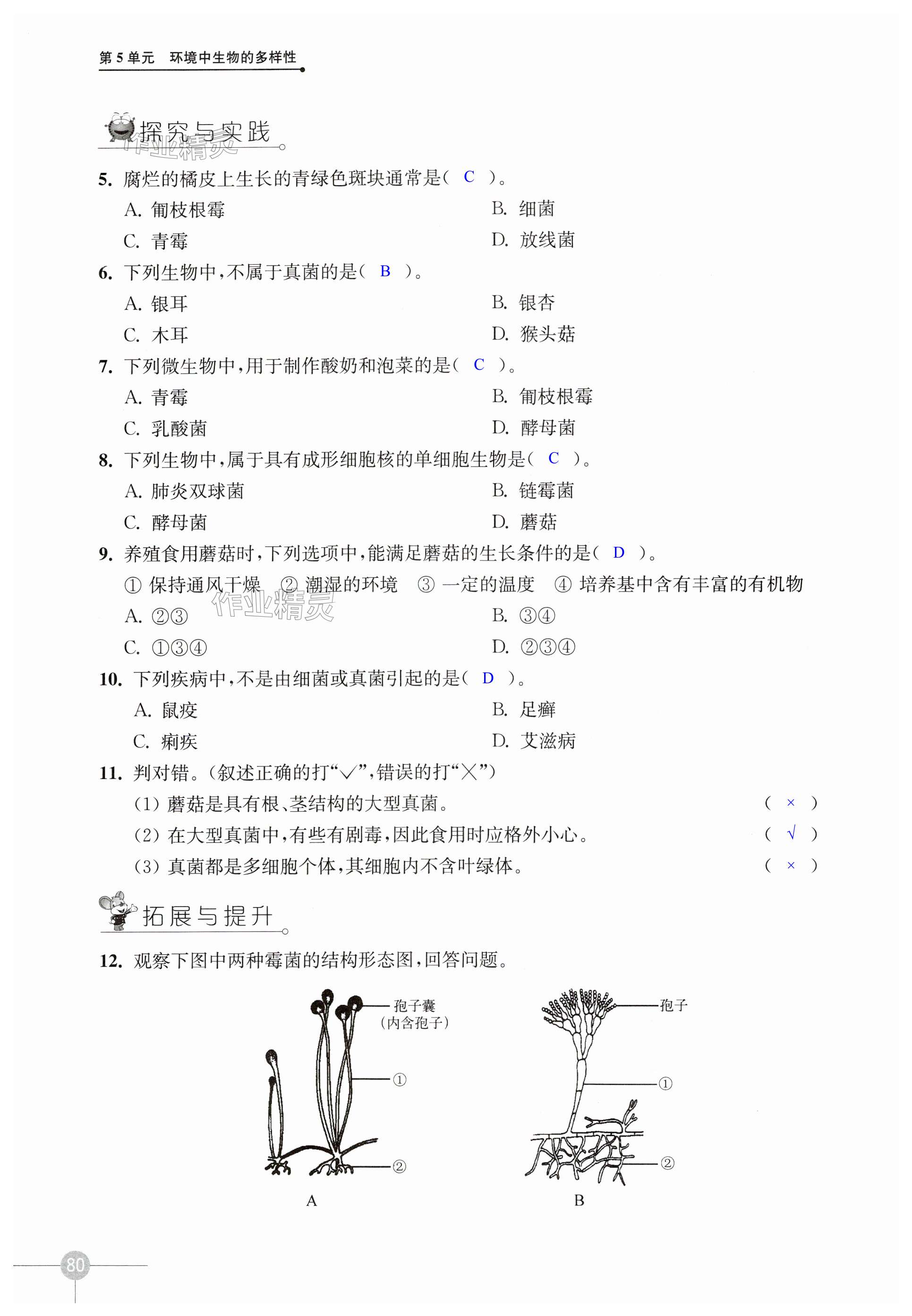 第80页