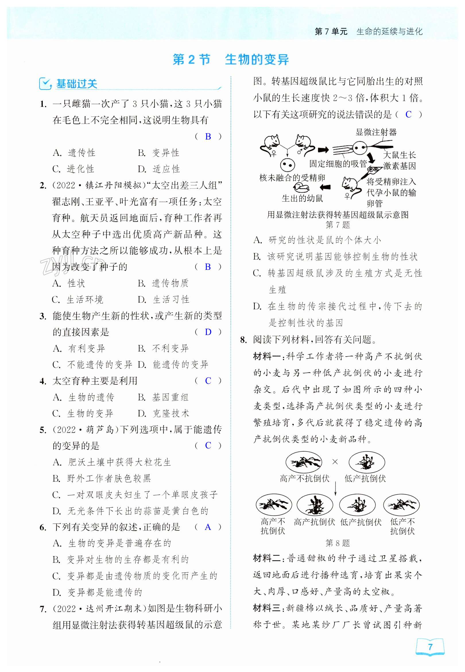 第7頁(yè)