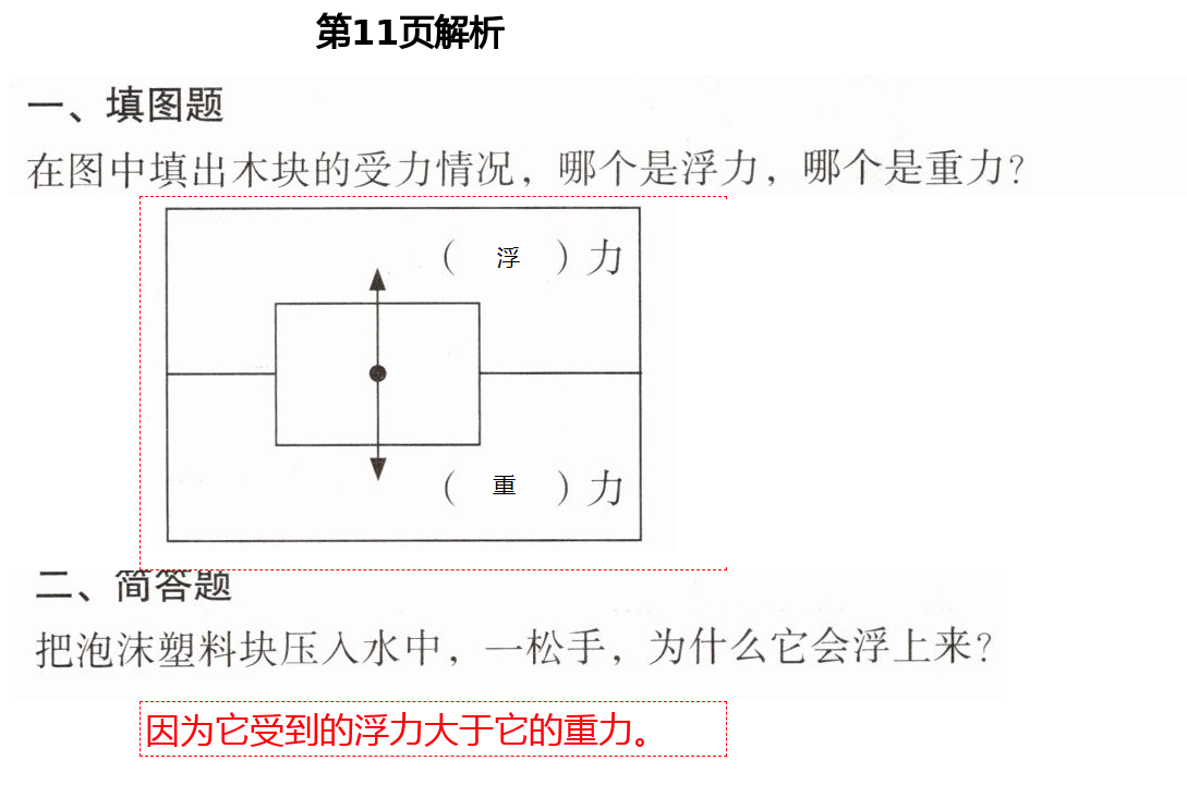 2021年知識(shí)與能力訓(xùn)練五年級(jí)科學(xué)下冊(cè)教科版 第11頁