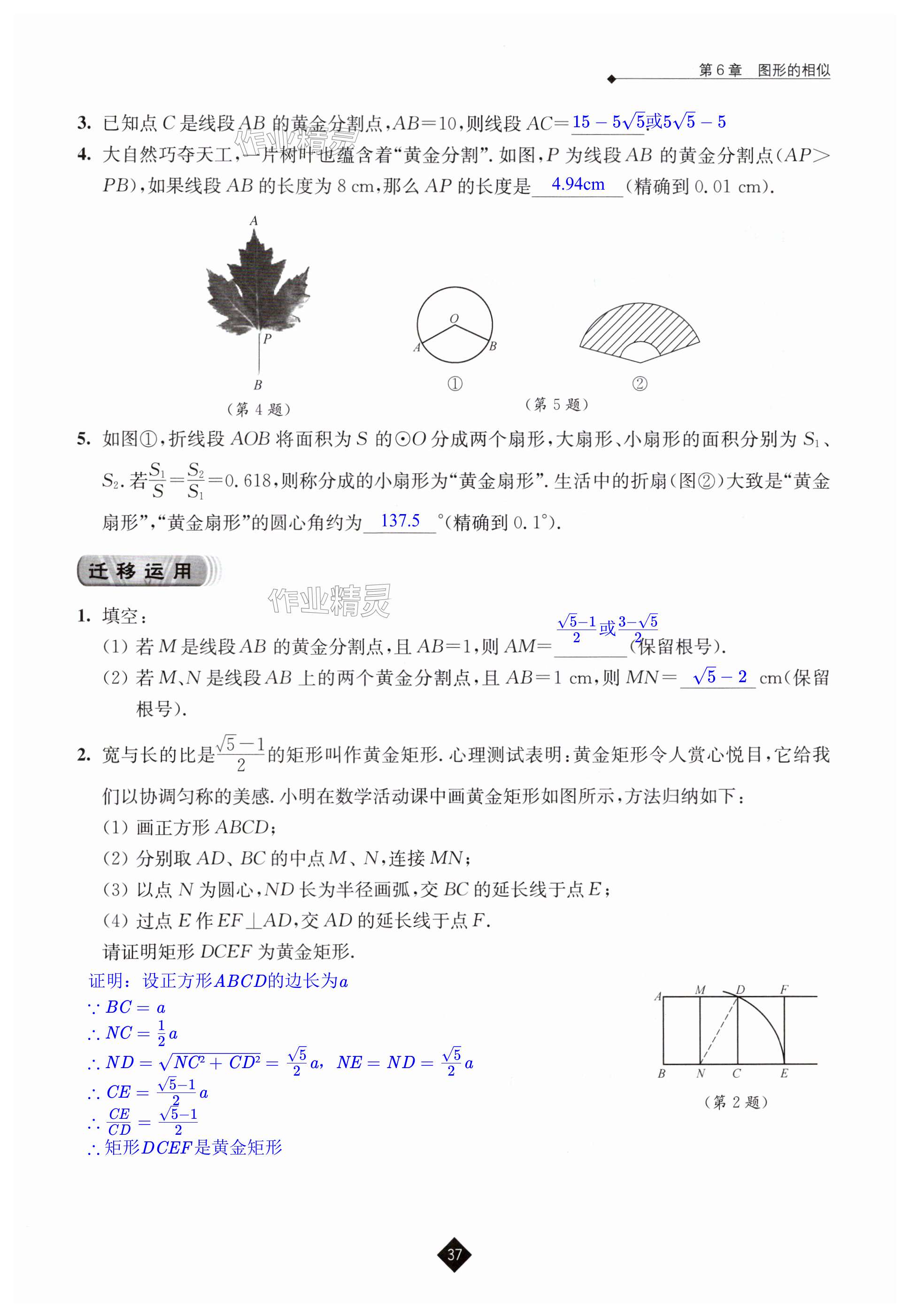 第37頁