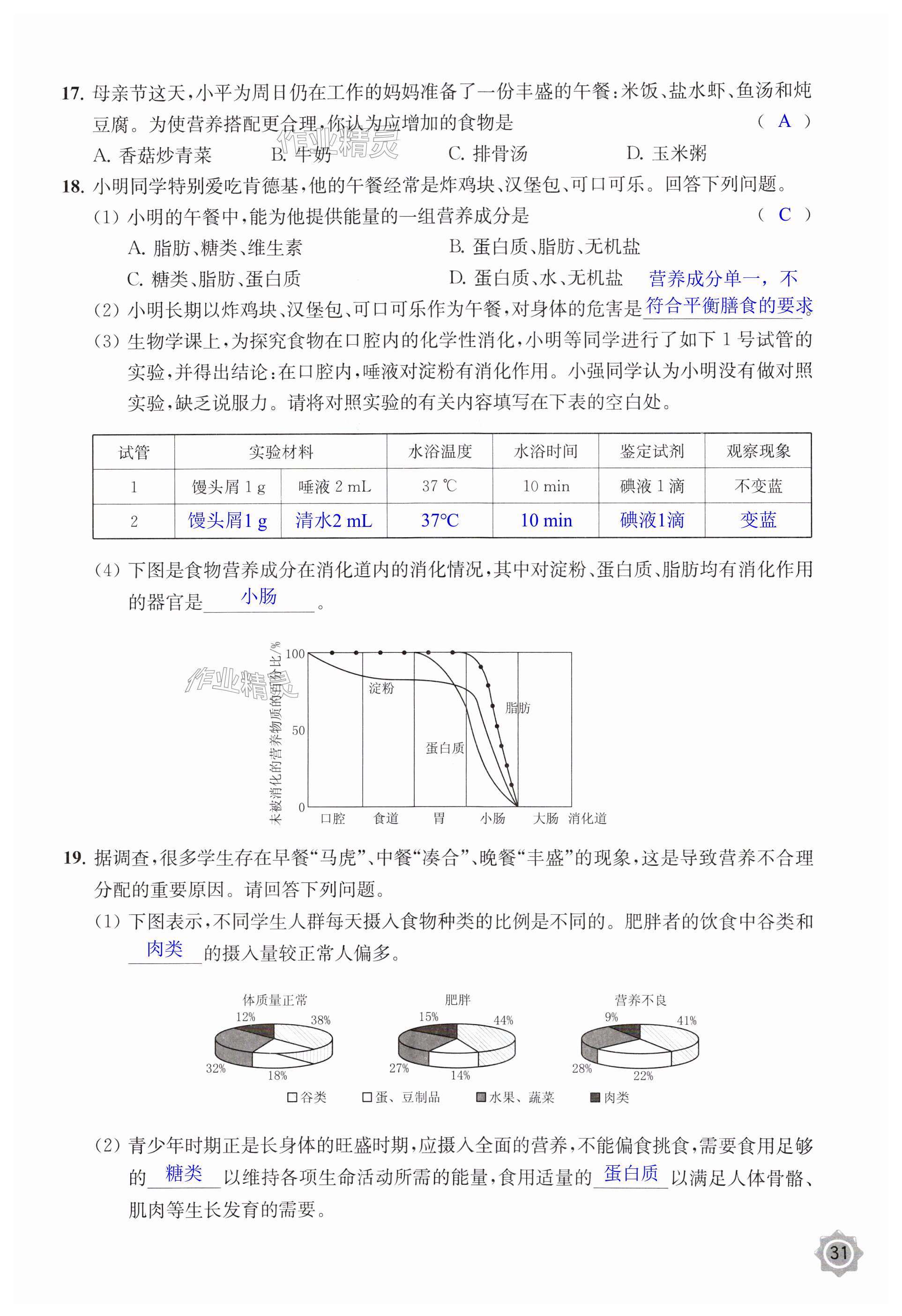 第31頁