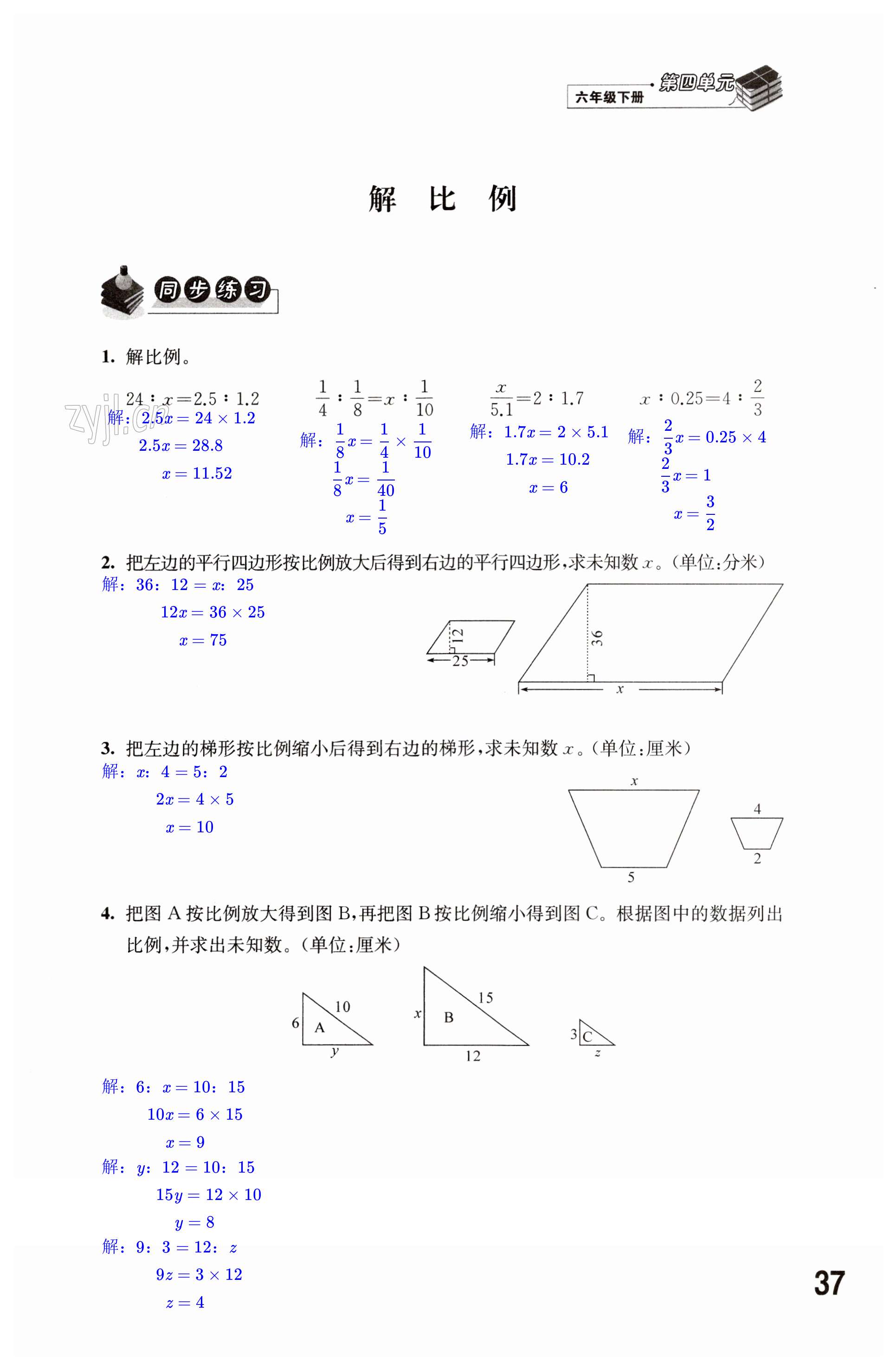 第37頁(yè)