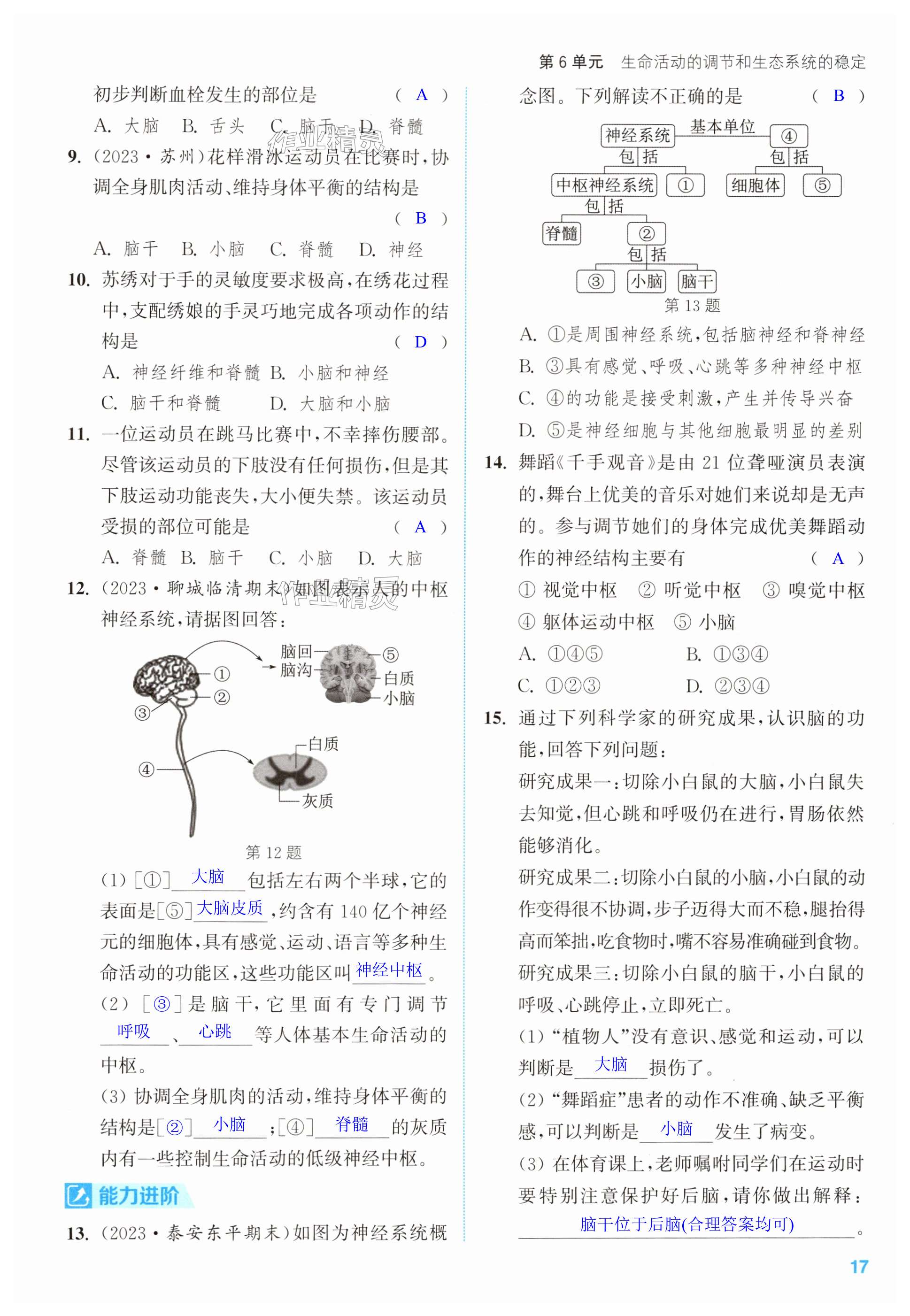 第17頁