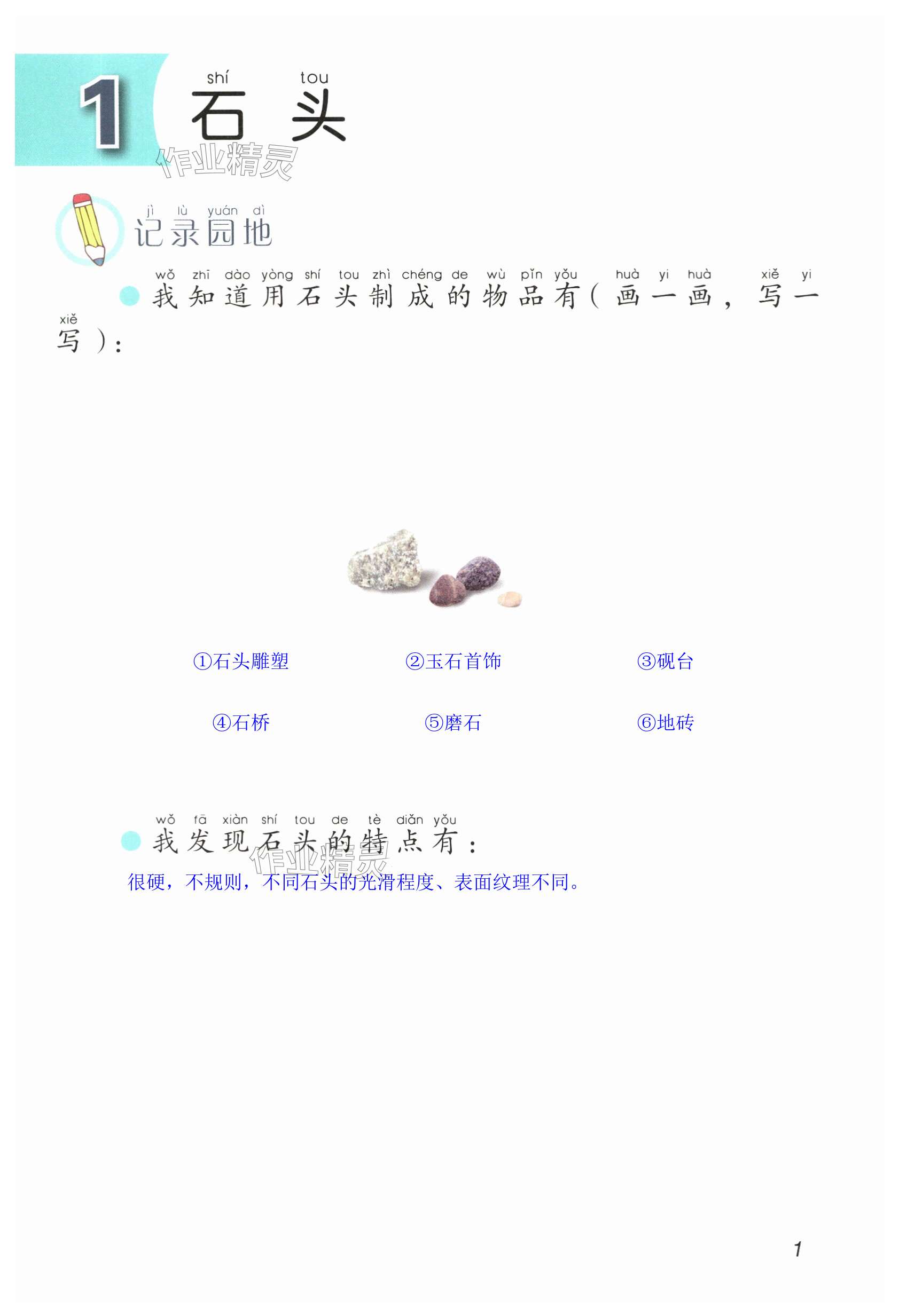 2024年學(xué)生活動(dòng)手冊(cè)二年級(jí)科學(xué)上冊(cè)青島版 第1頁