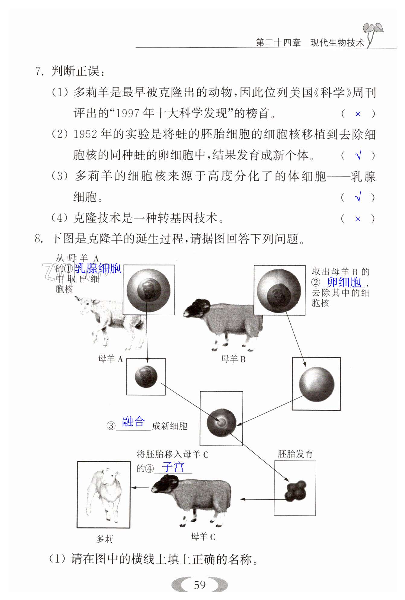 第59頁