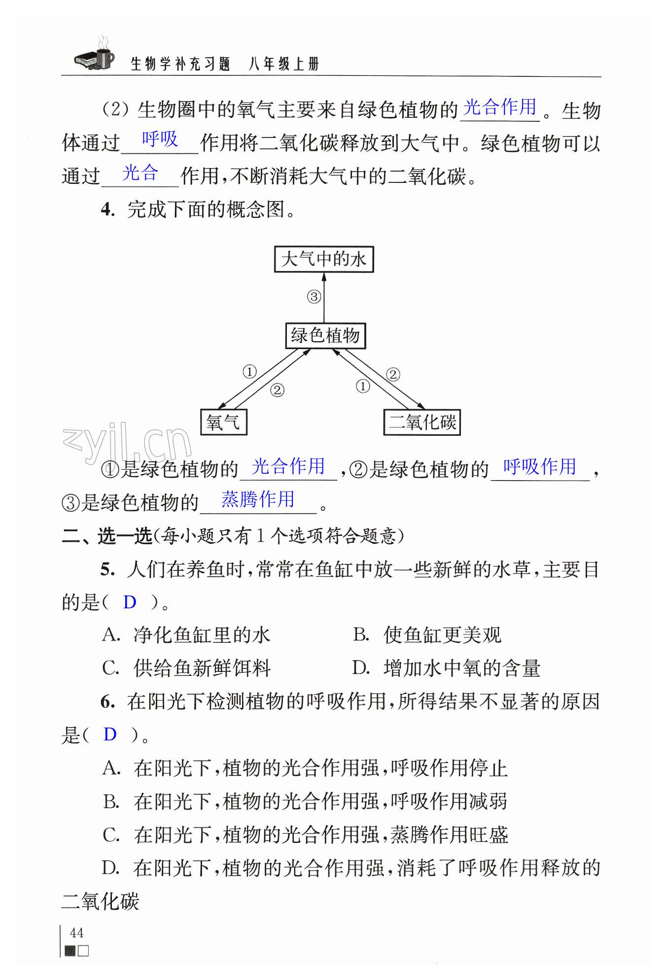 第44页