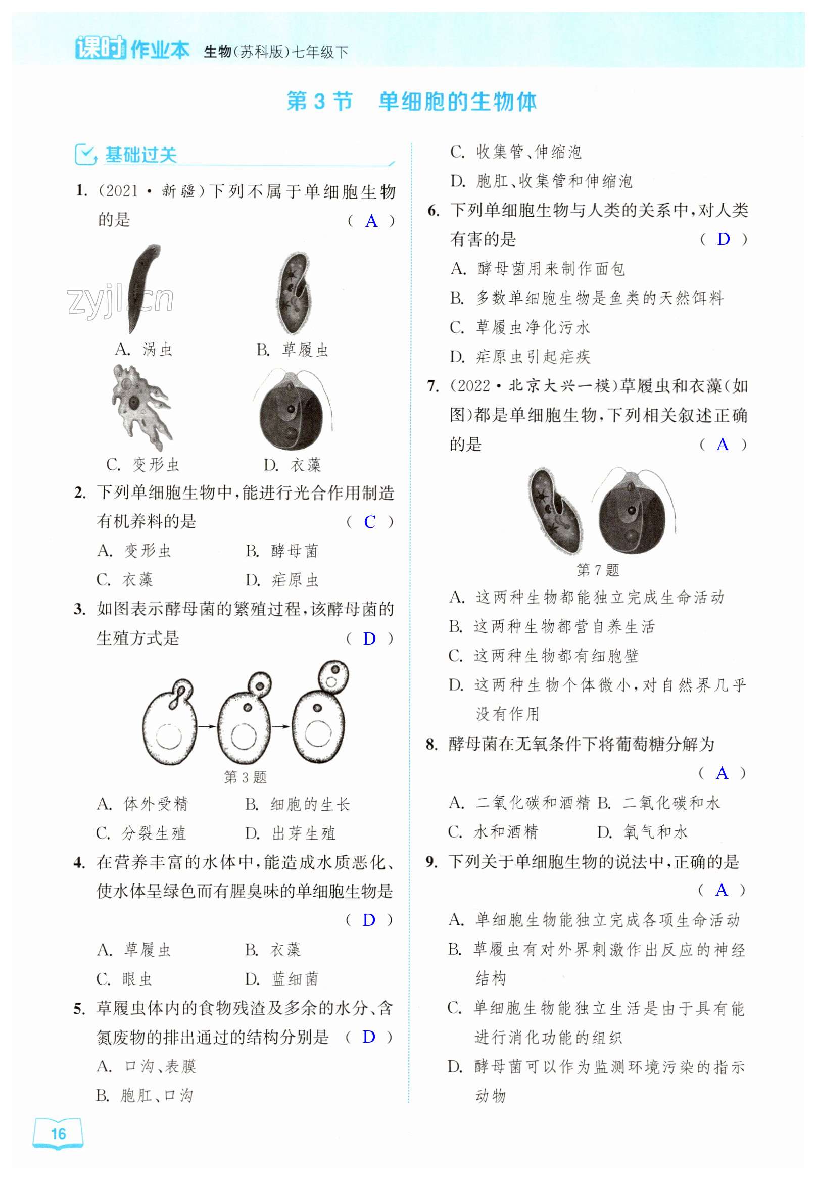 第16页