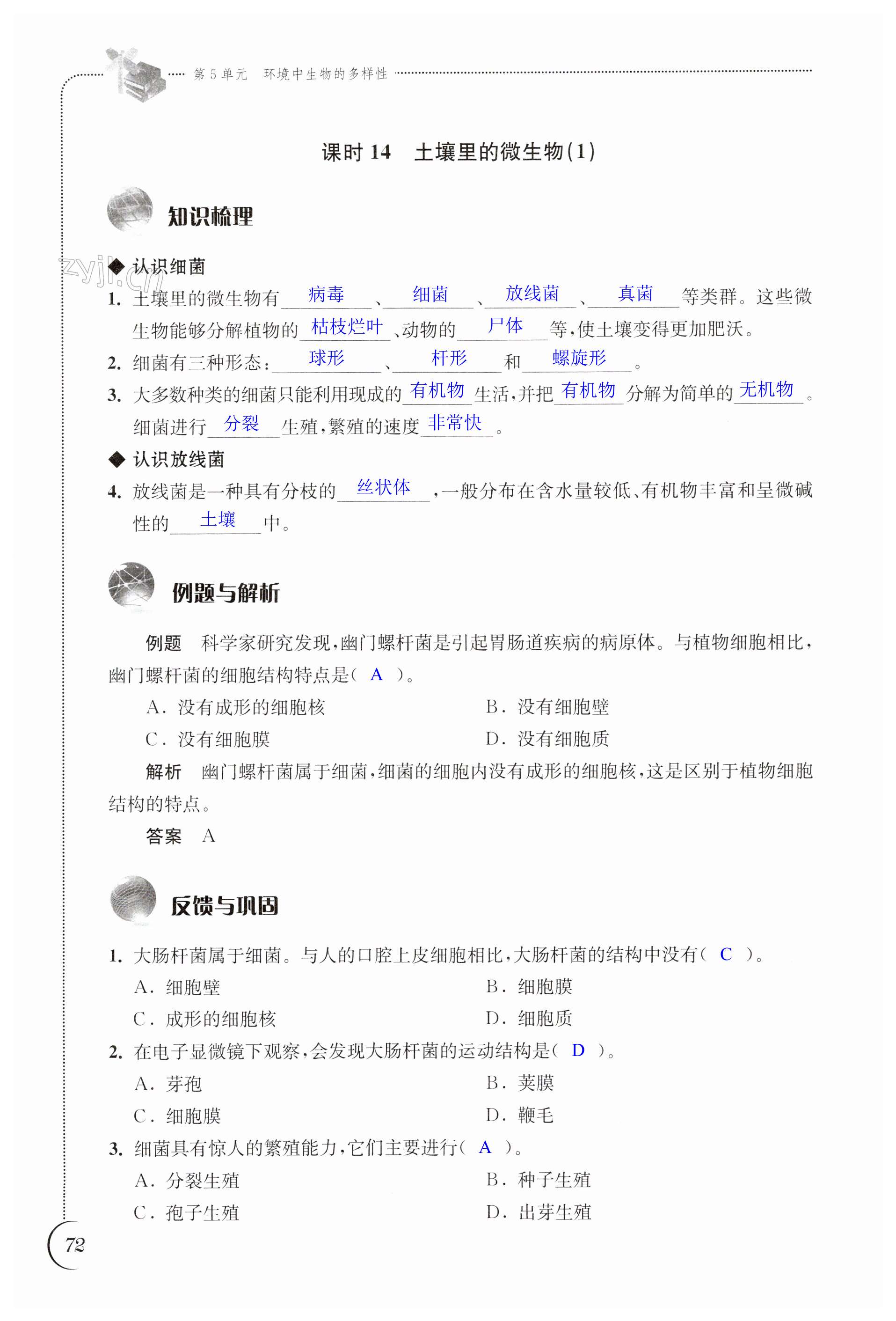 第72页