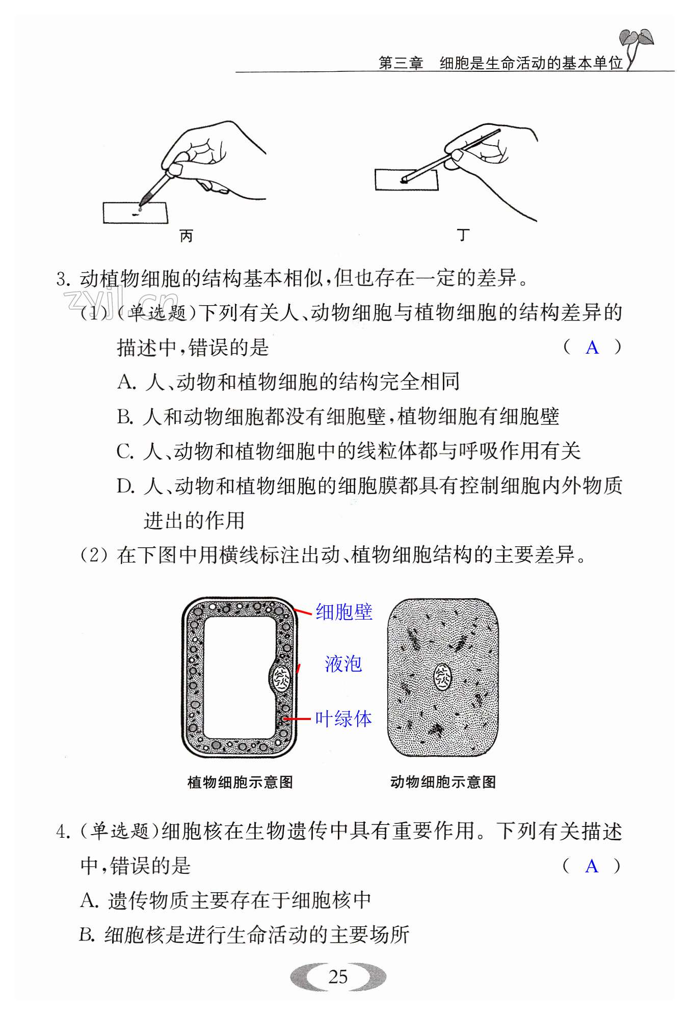 第25页