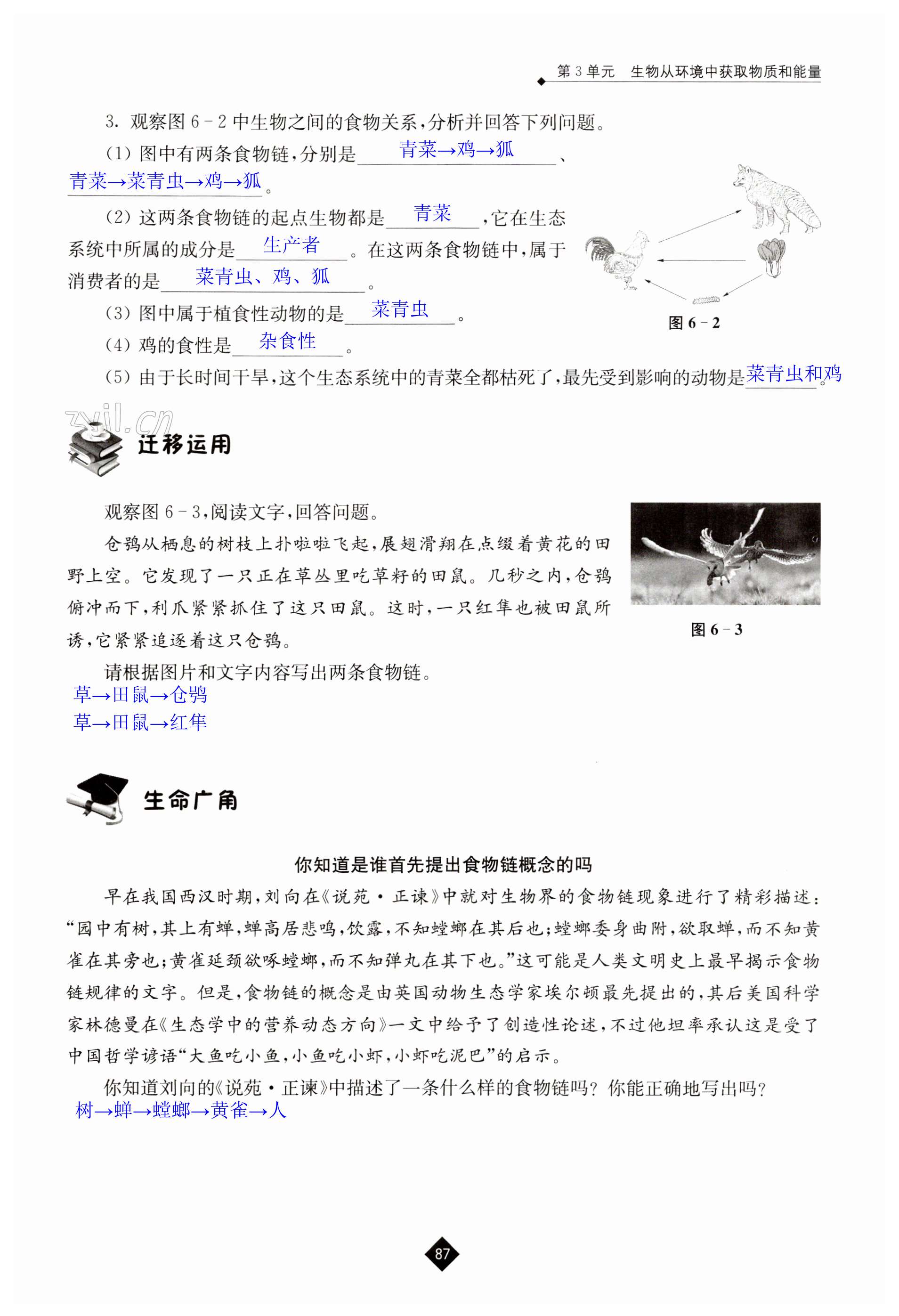 第87页